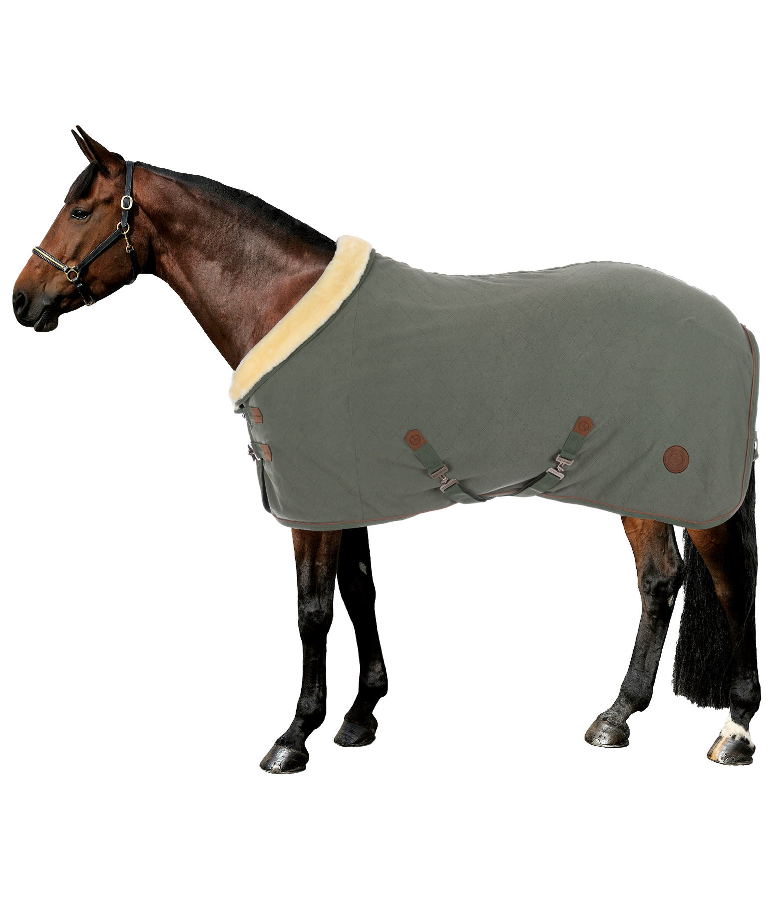 Fleece Wicking Rug Timeless Elegance with Teddy Fleece Collar