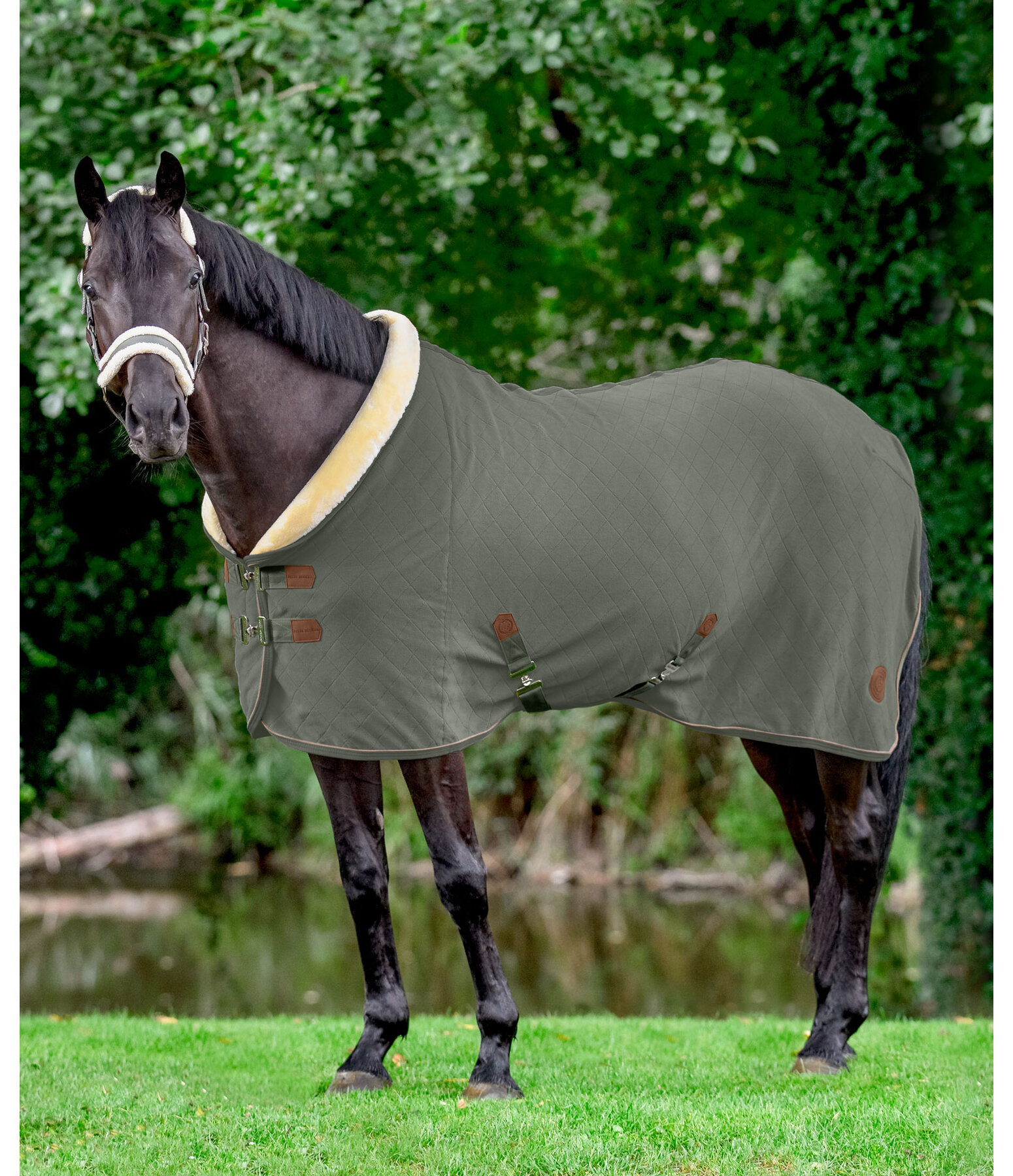 Fleece Wicking Rug Timeless Elegance with Teddy Fleece Collar