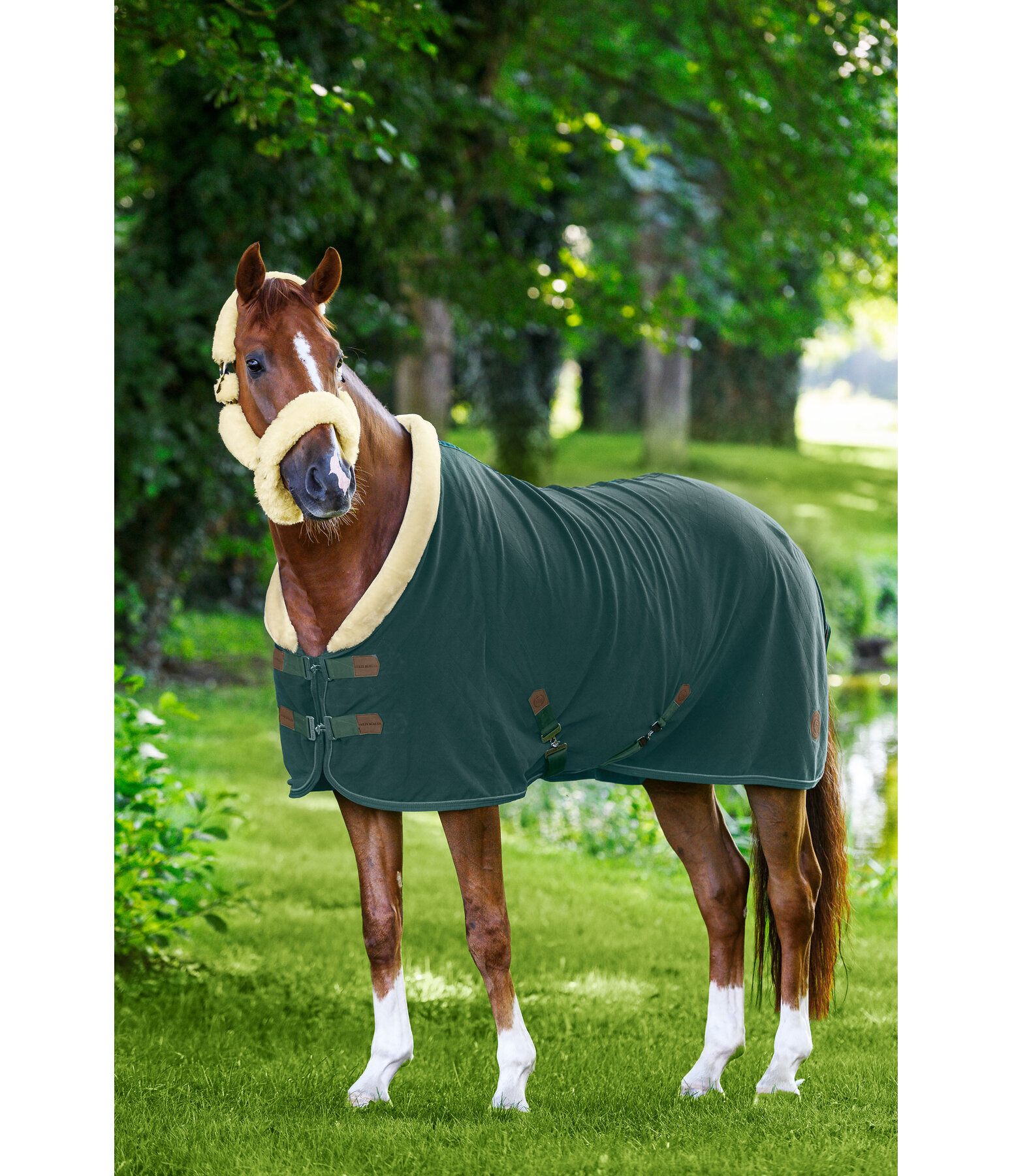 Fleece Wicking Rug Timeless Elegance with Teddy Fleece Collar