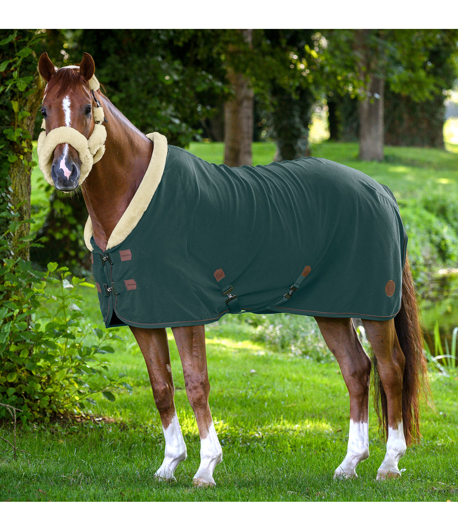 Fleece Wicking Rug Timeless Elegance with Teddy Fleece Collar