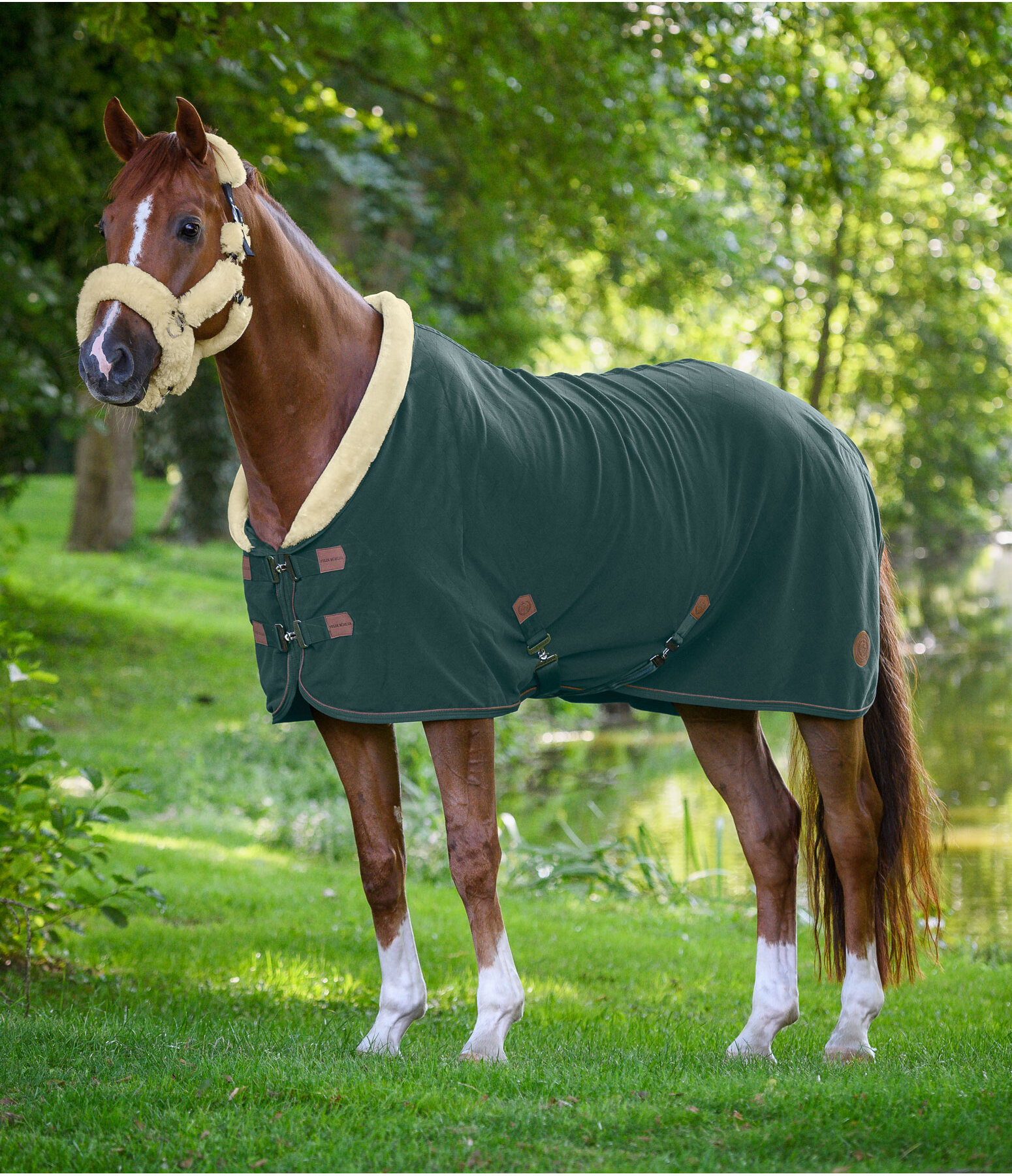 Fleece Wicking Rug Timeless Elegance with Teddy Fleece Collar