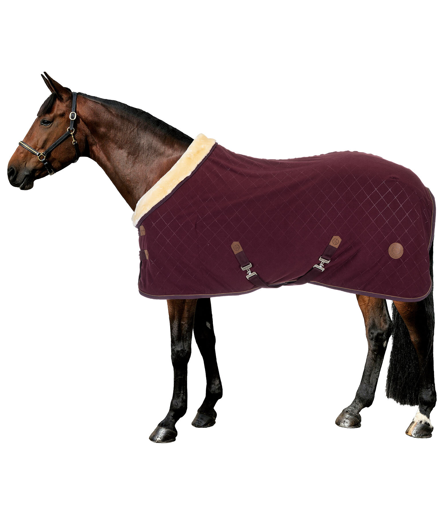 Fleece Wicking Rug Timeless Elegance with Teddy Fleece Collar