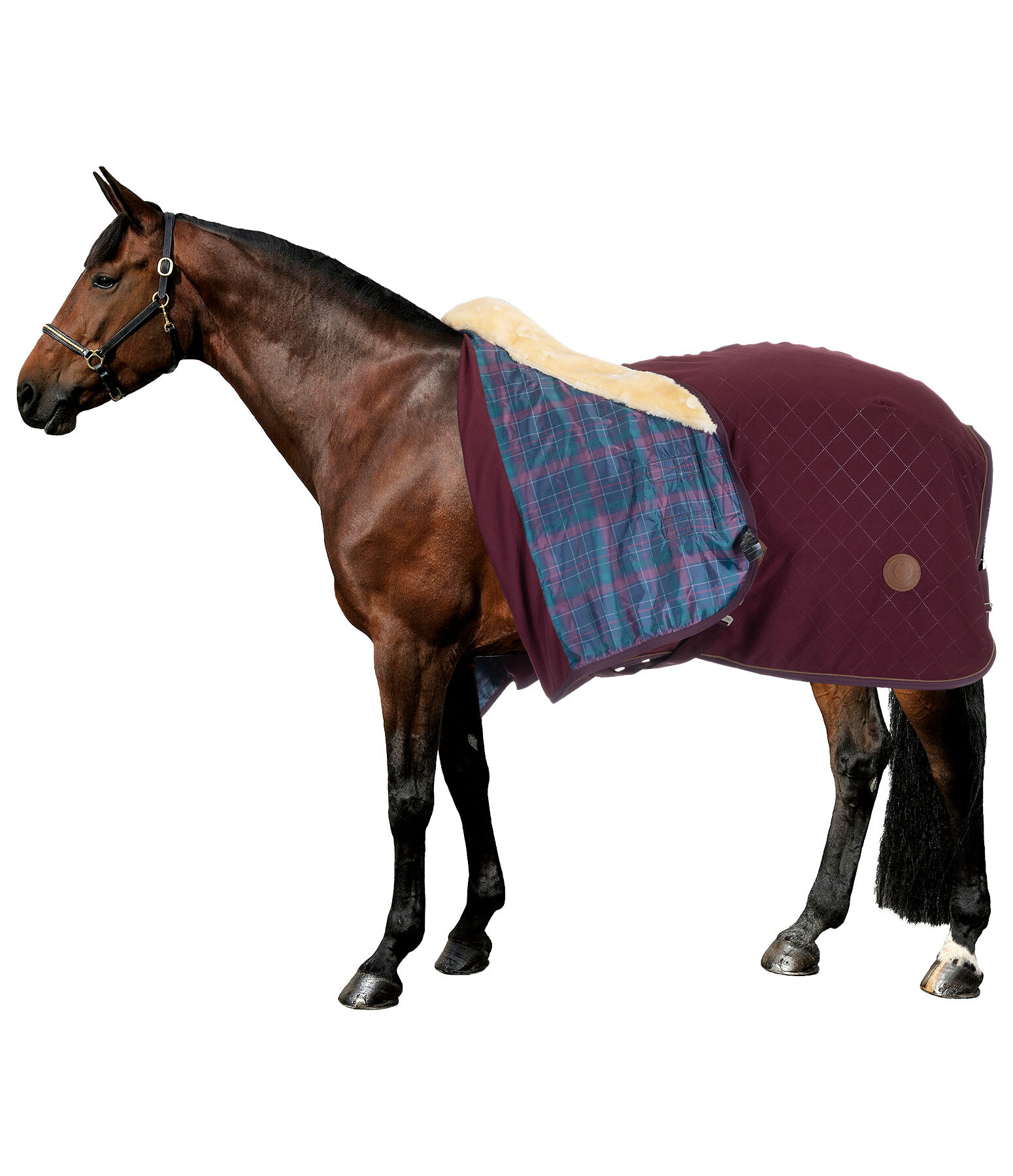 Fleece Wicking Rug Timeless Elegance with Teddy Fleece Collar