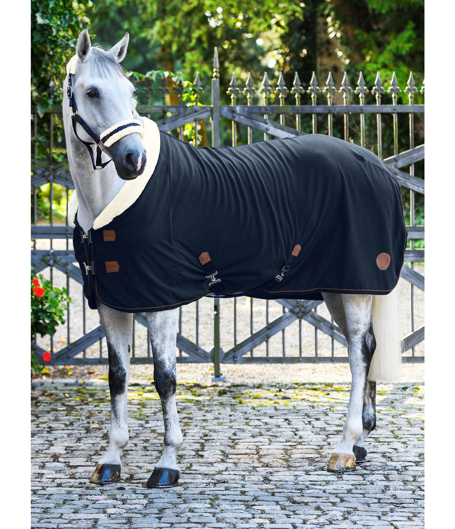 Fleece Wicking Rug Timeless Elegance with Teddy Fleece Collar