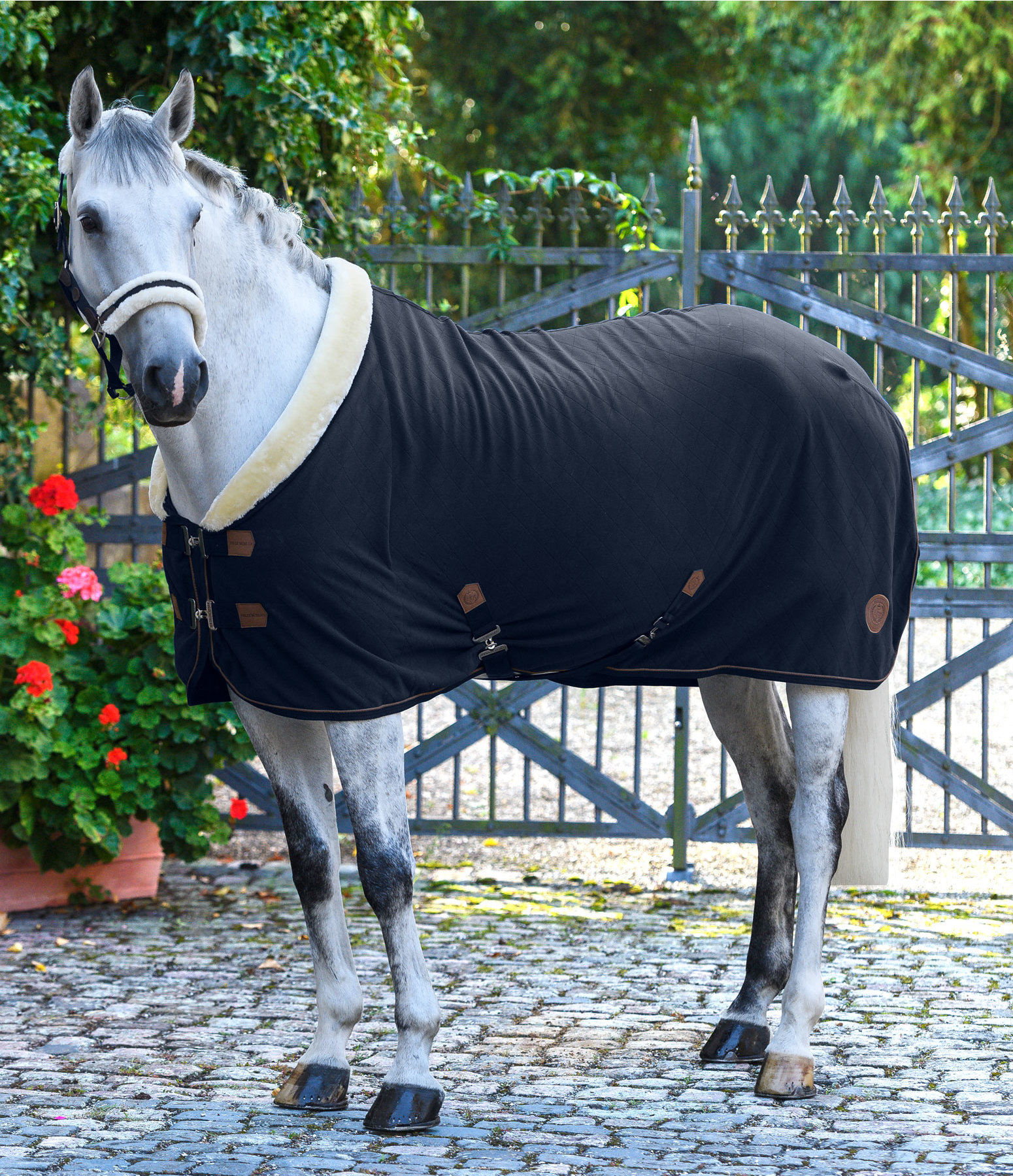 Fleece Wicking Rug Timeless Elegance with Teddy Fleece Collar