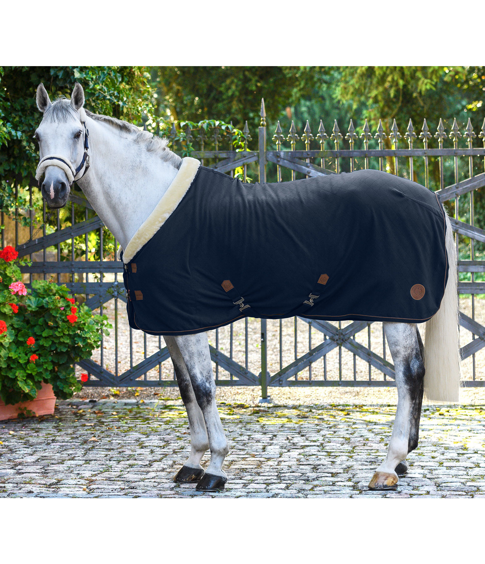 Fleece Wicking Rug Timeless Elegance with Teddy Fleece Collar