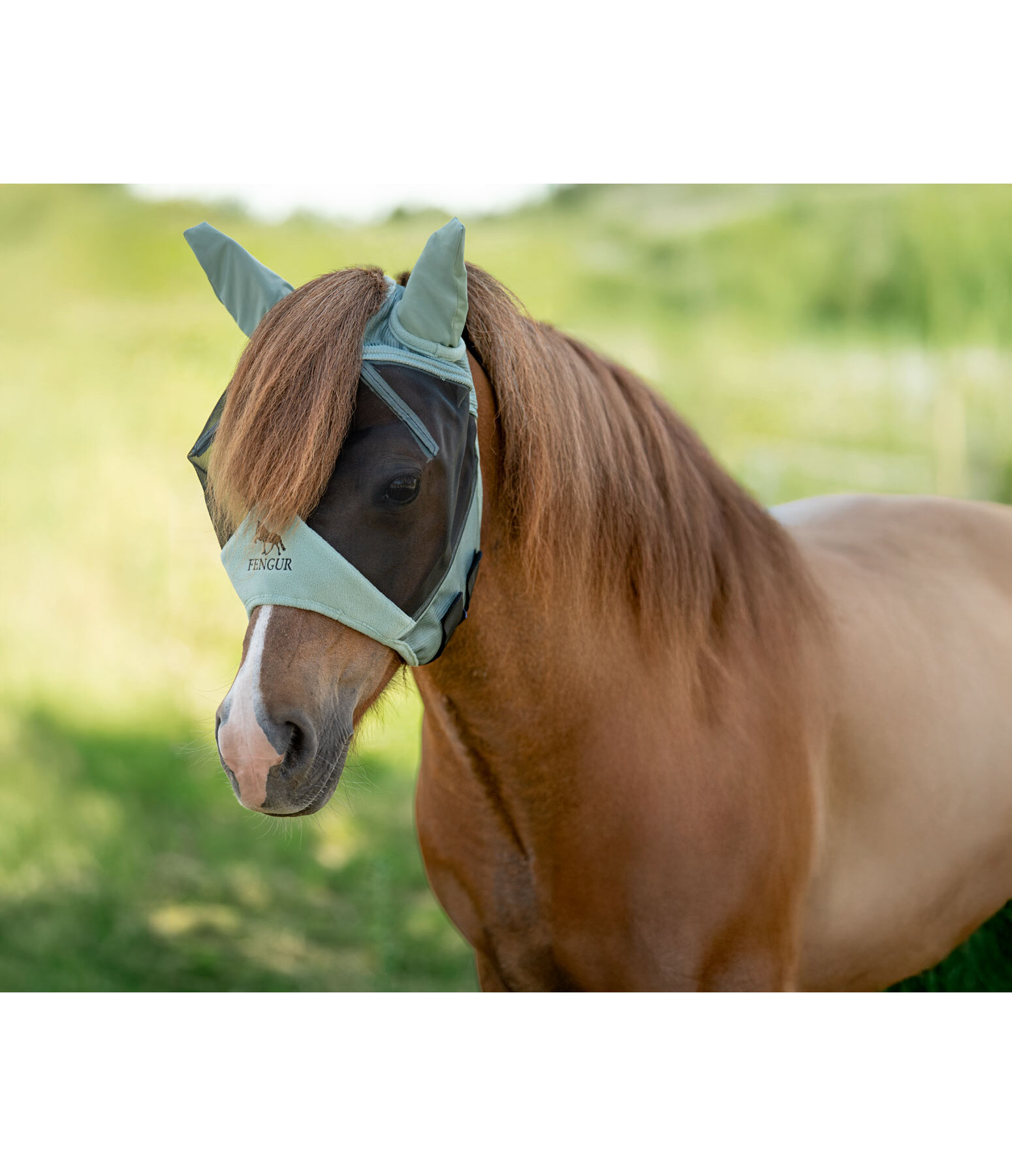 Fly Mask J�n