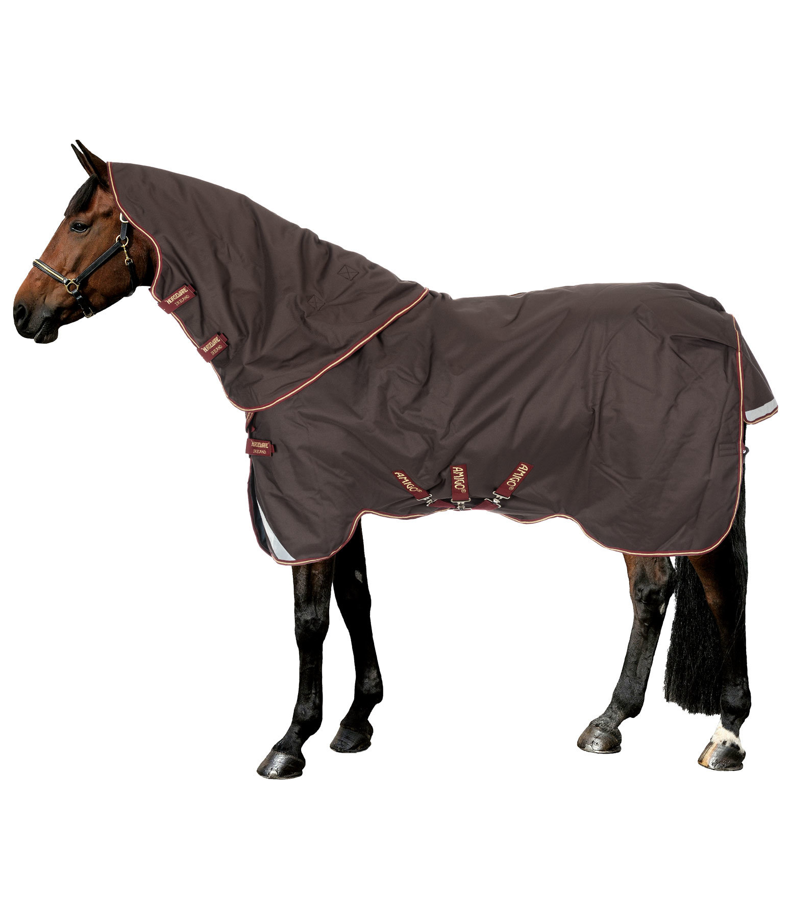 AMIGO BRAVO 12 PLUS Turnout Rug with Neck Piece, 100g