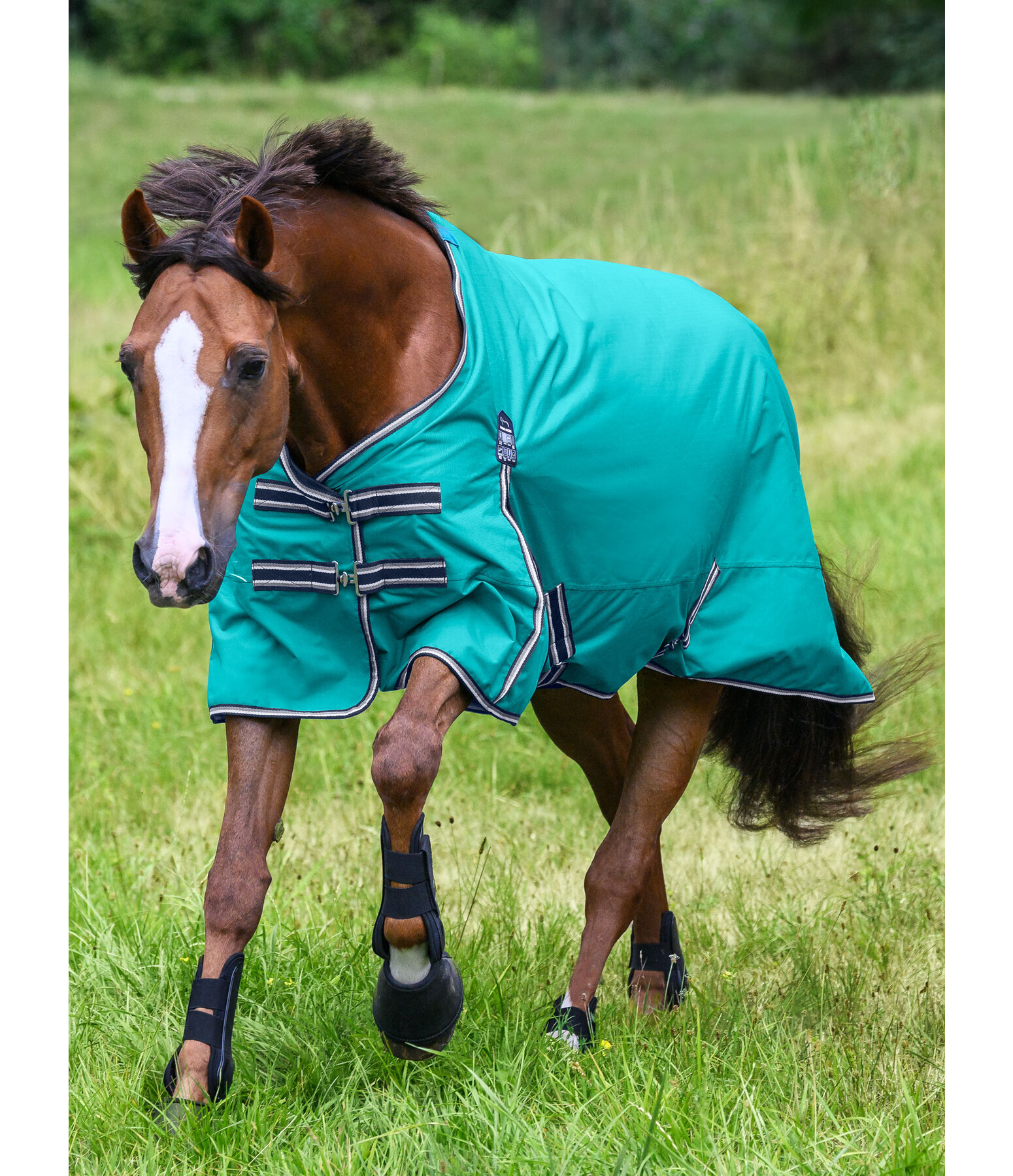 Turnout Rug Kadir IV, 0g