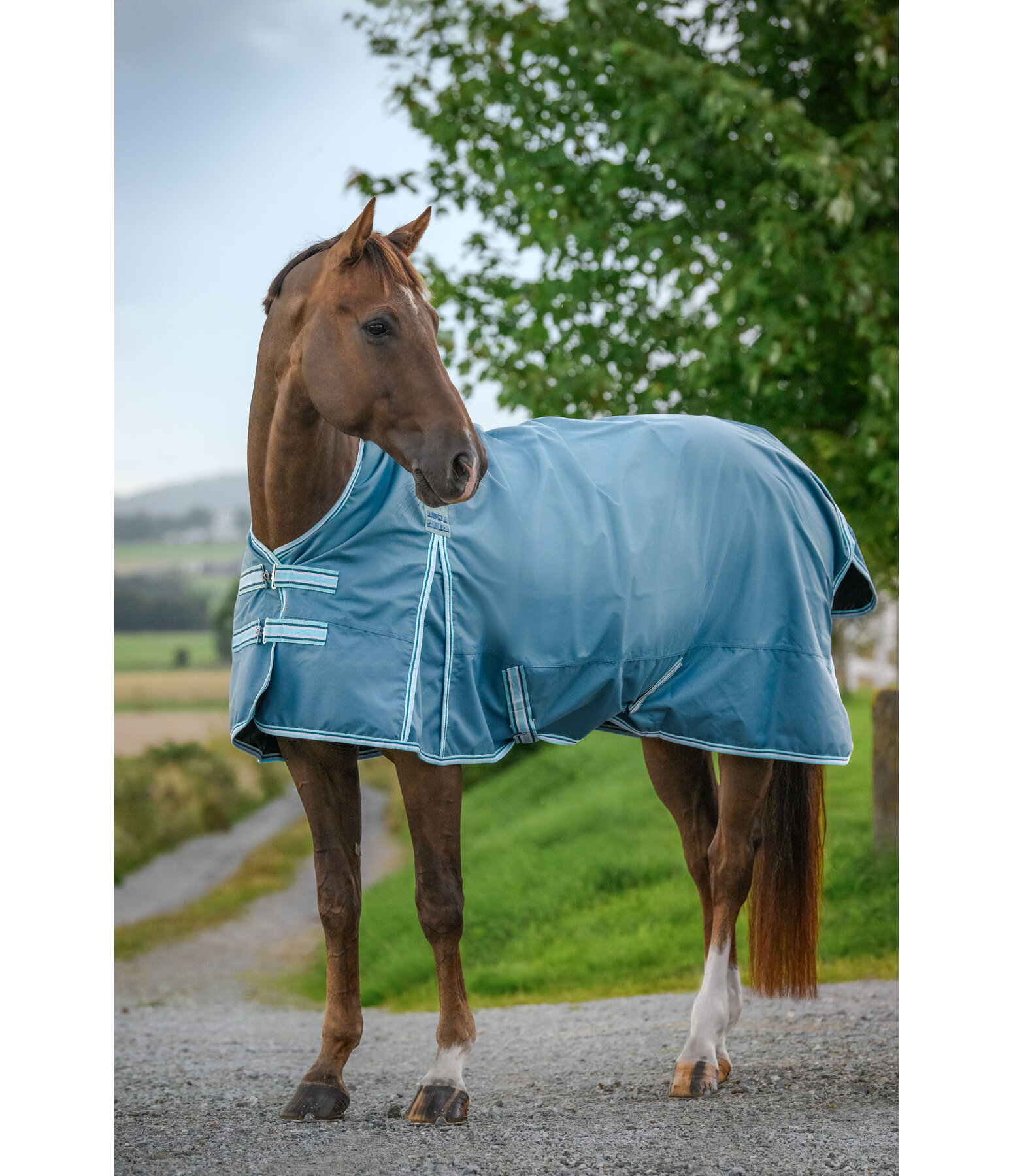 Turnout Rug Kadir IV, 0g