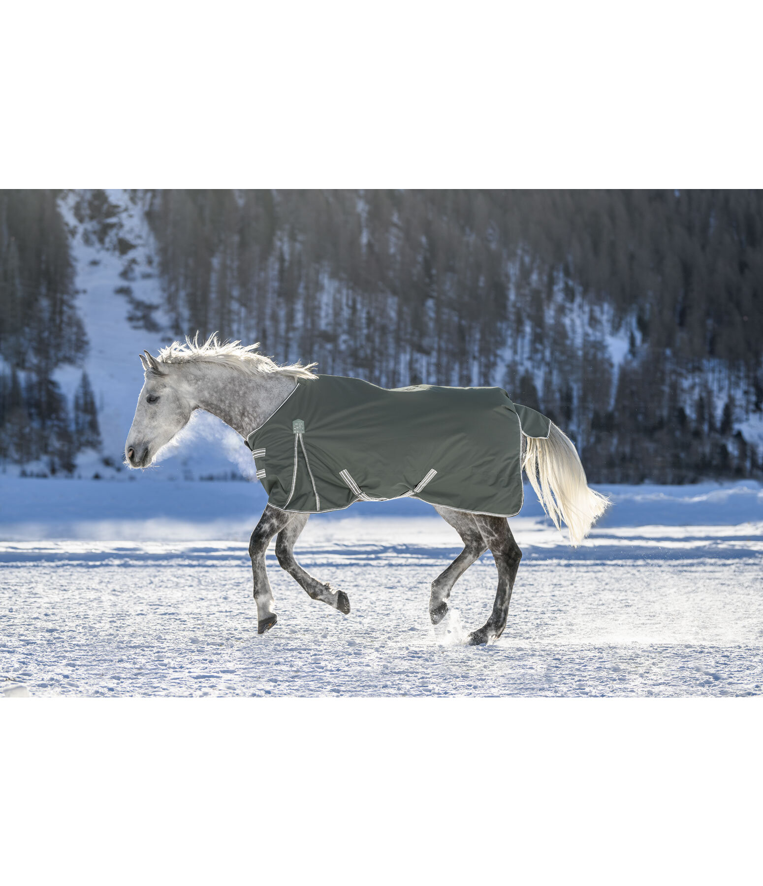 Turnout Rug Kadir IV, 0g