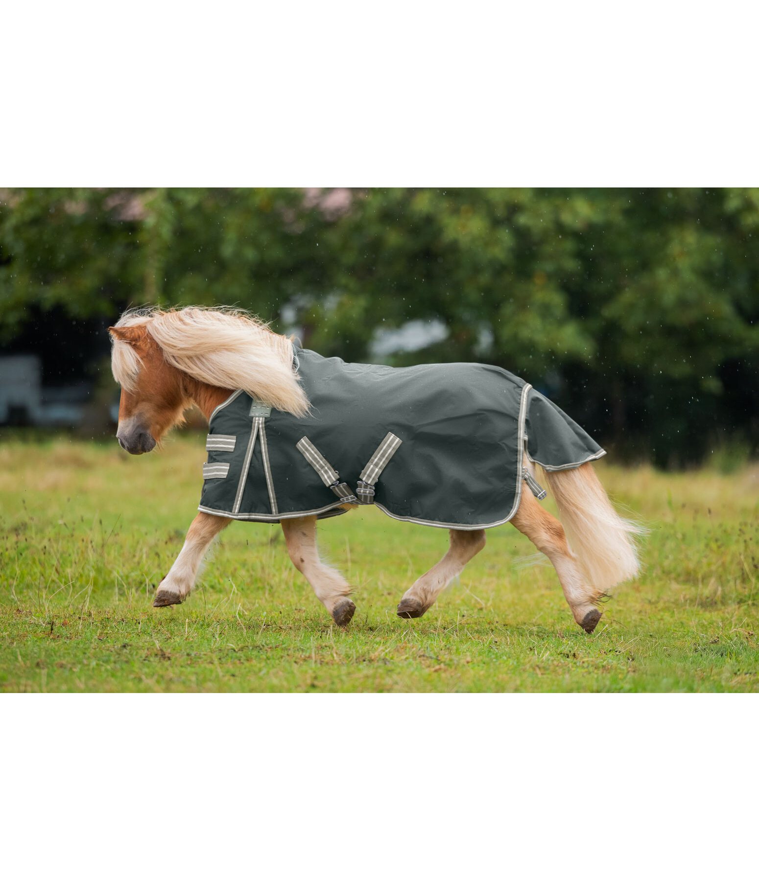 Turnout Rug Kadir IV, 0g
