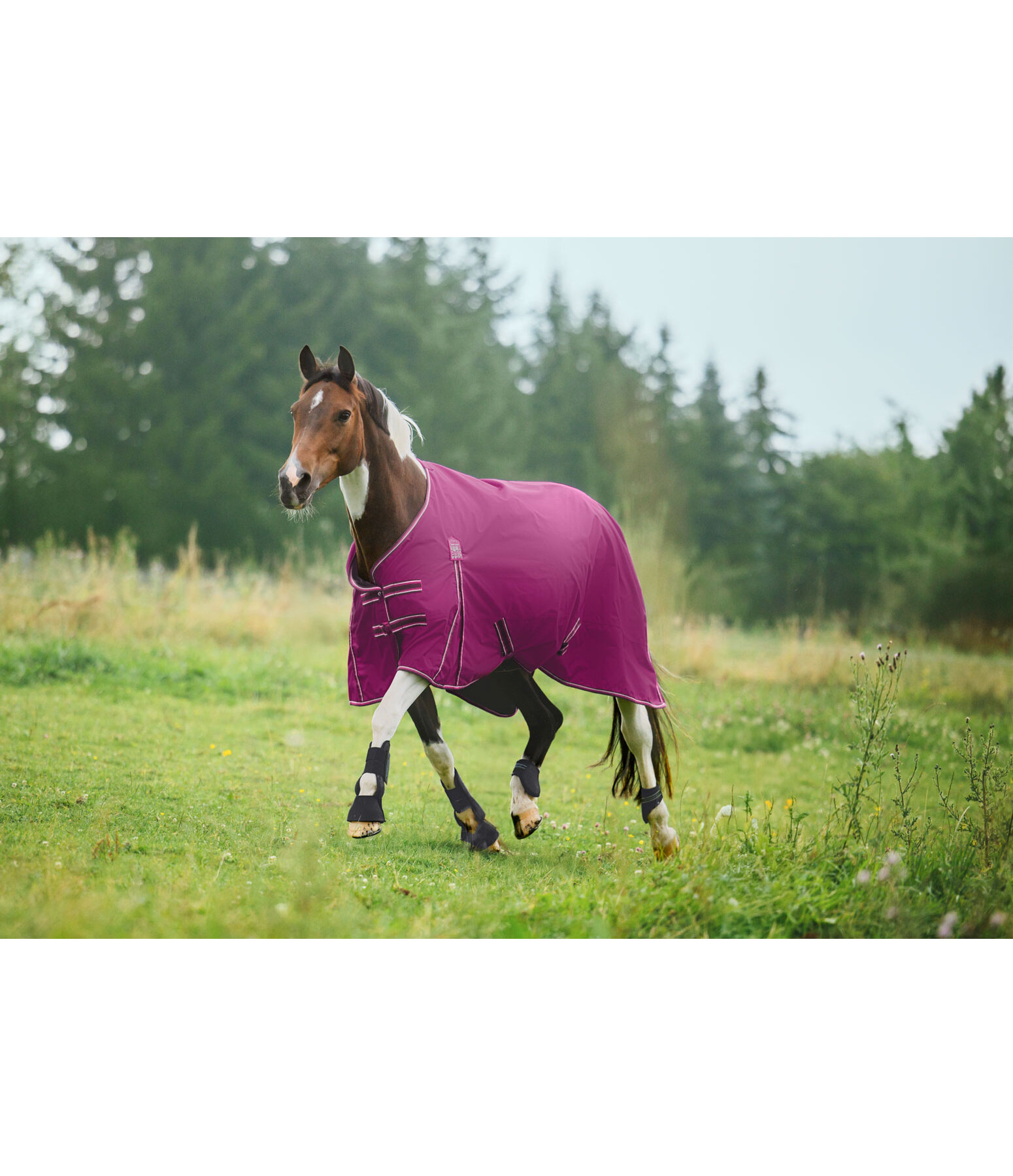 Turnout Rug Kadir IV, 0g