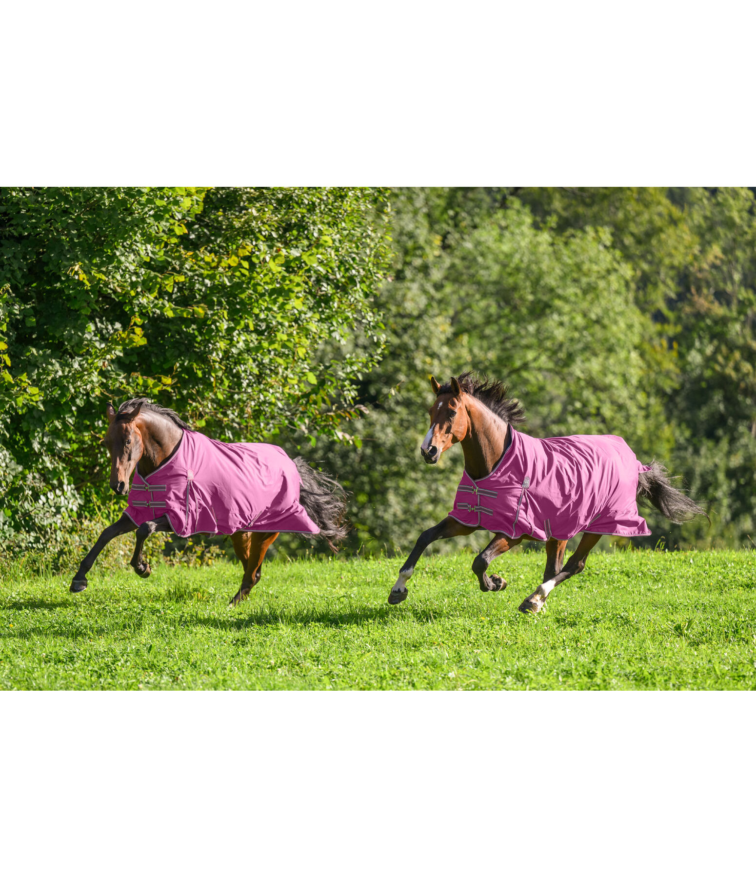 Turnout Rug Kadir IV, 0g