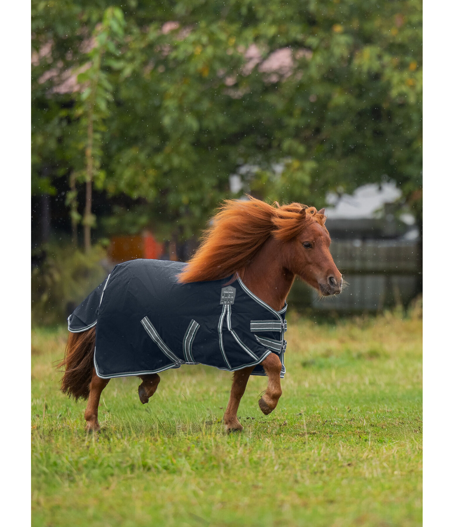 Turnout Rug Kadir IV, 0g