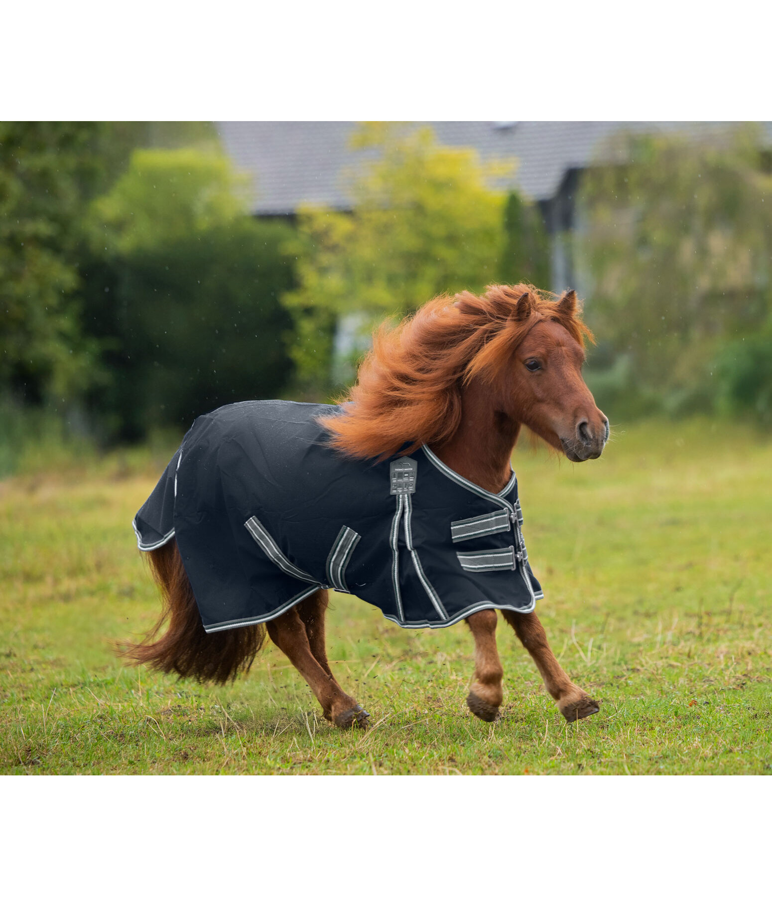 Turnout Rug Kadir IV, 0g