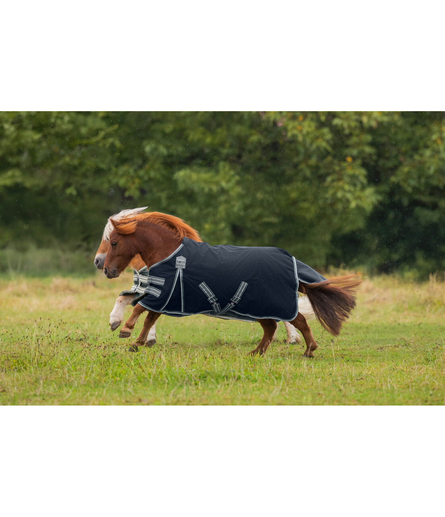 Turnout Rug Kadir IV, 0g