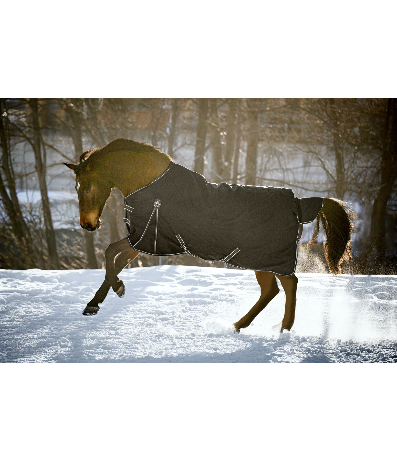 Turnout Rug Kadir IV, 0g