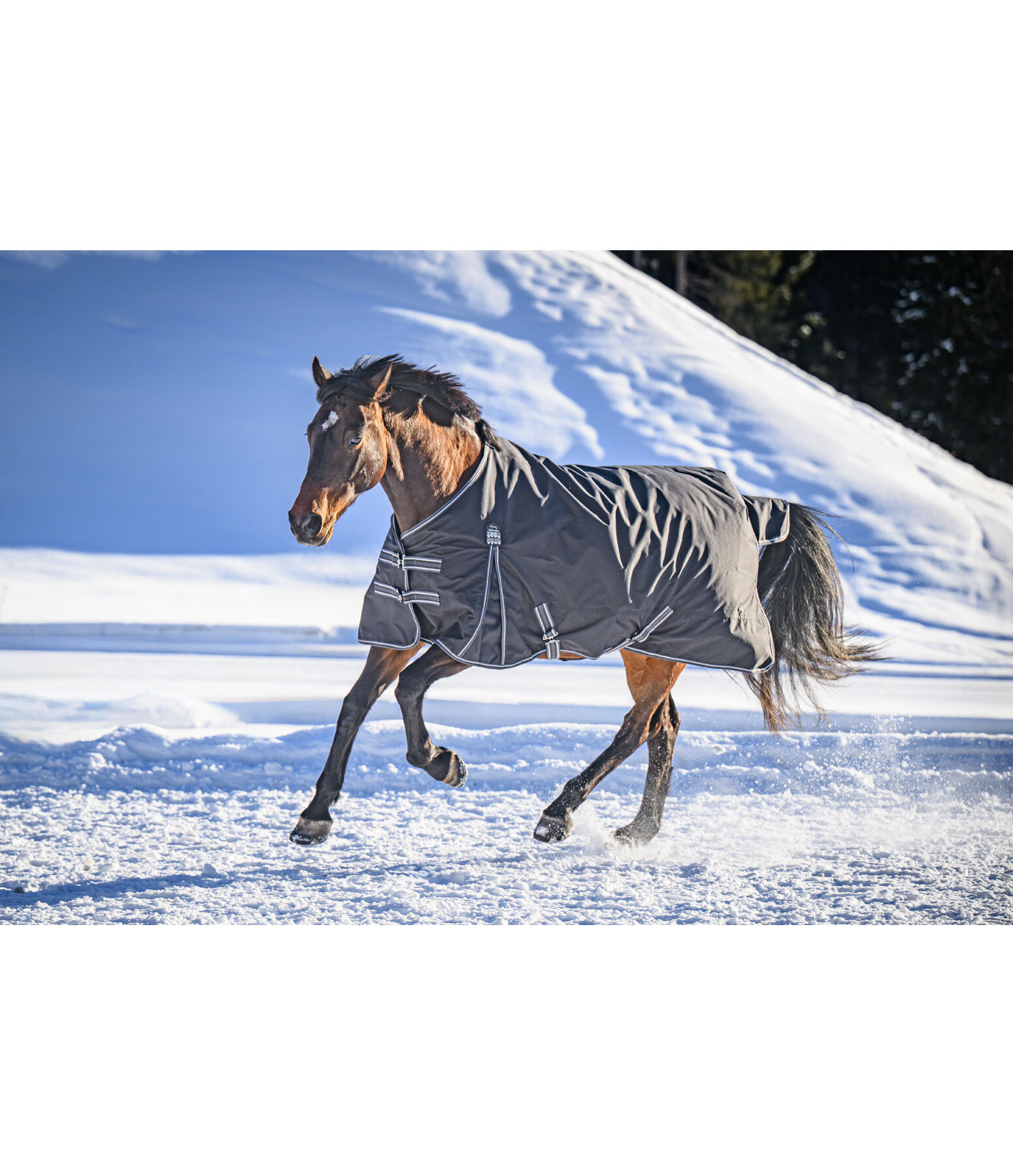Turnout Rug Kadir IV, 0g