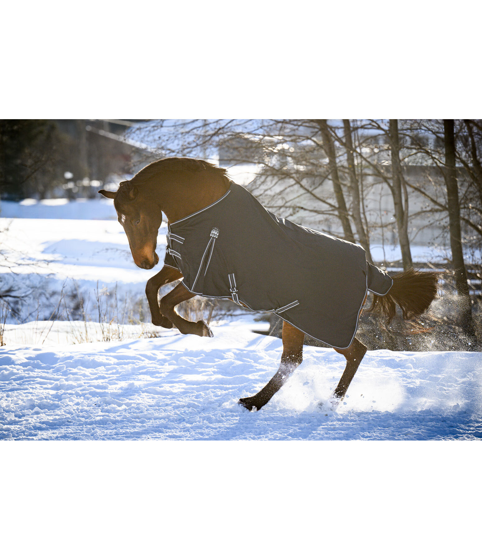 Turnout Rug Kadir IV, 0g