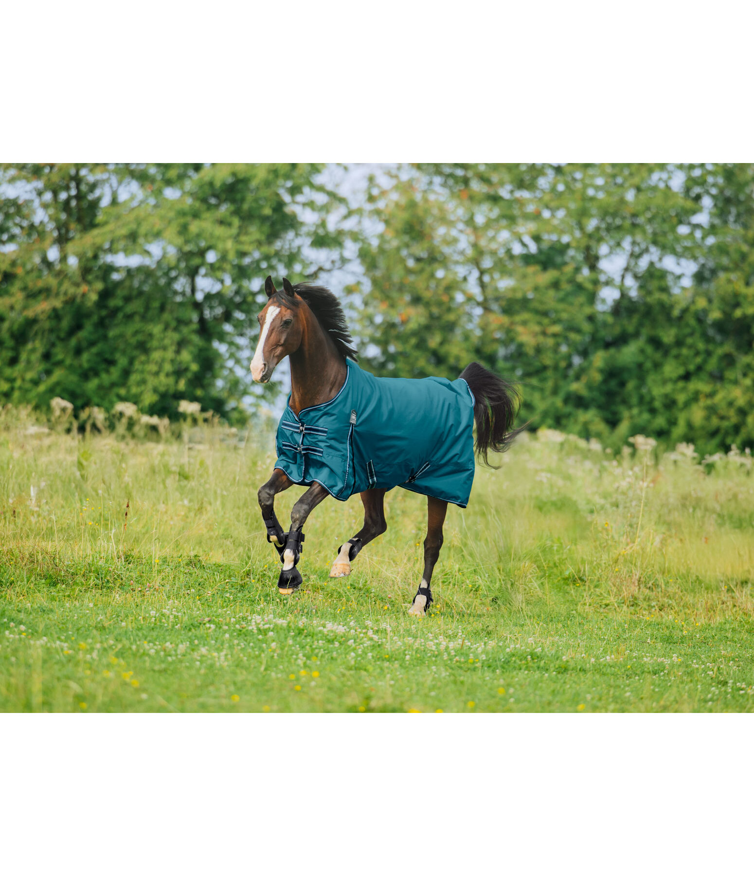 Turnout Rug Kadir IV, 0g