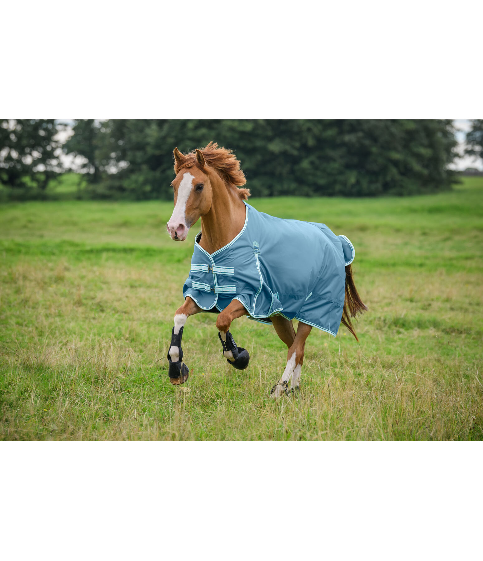 Turnout Rug Kadir IV, 100g