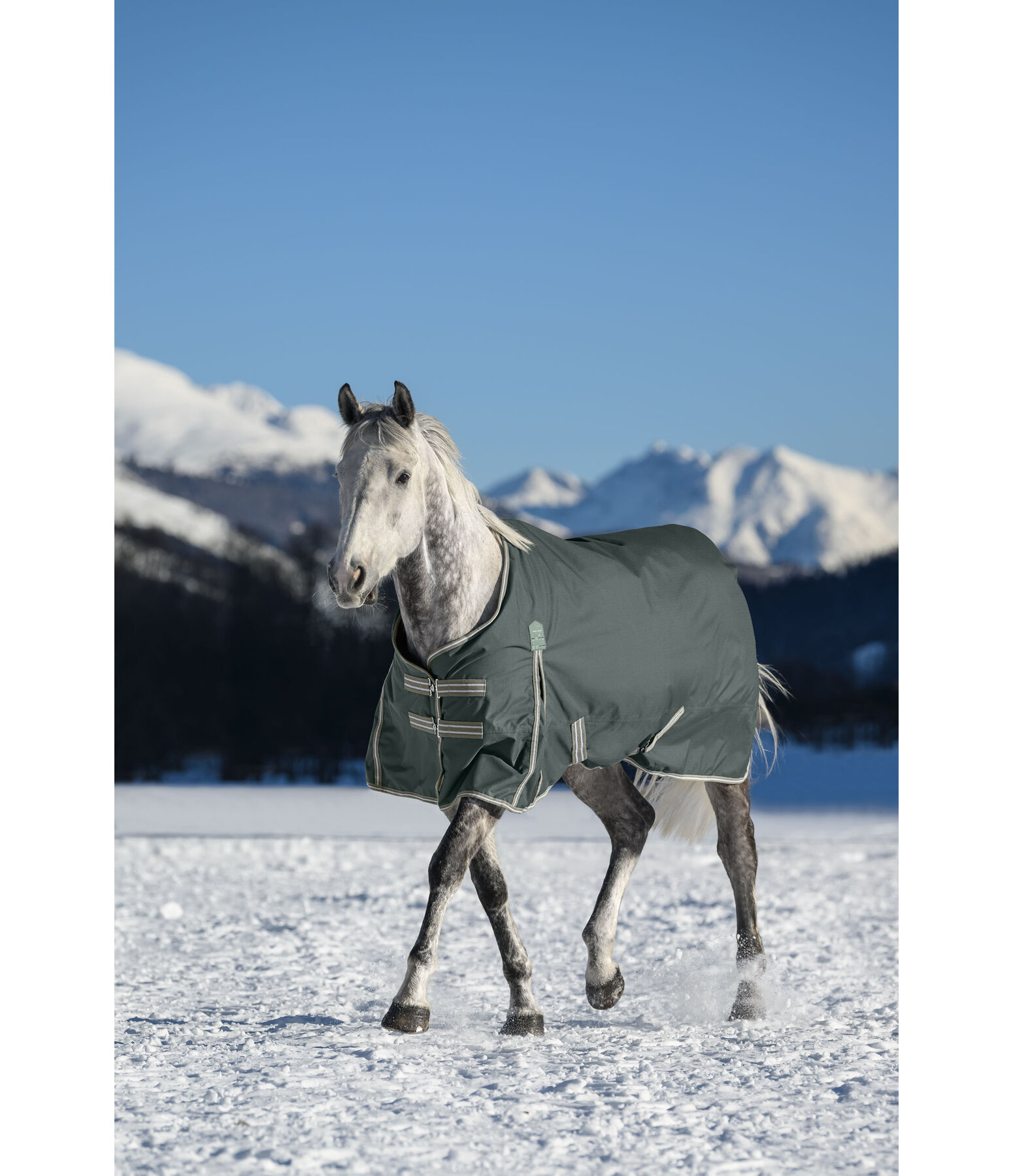 Turnout Rug Kadir IV, 100g