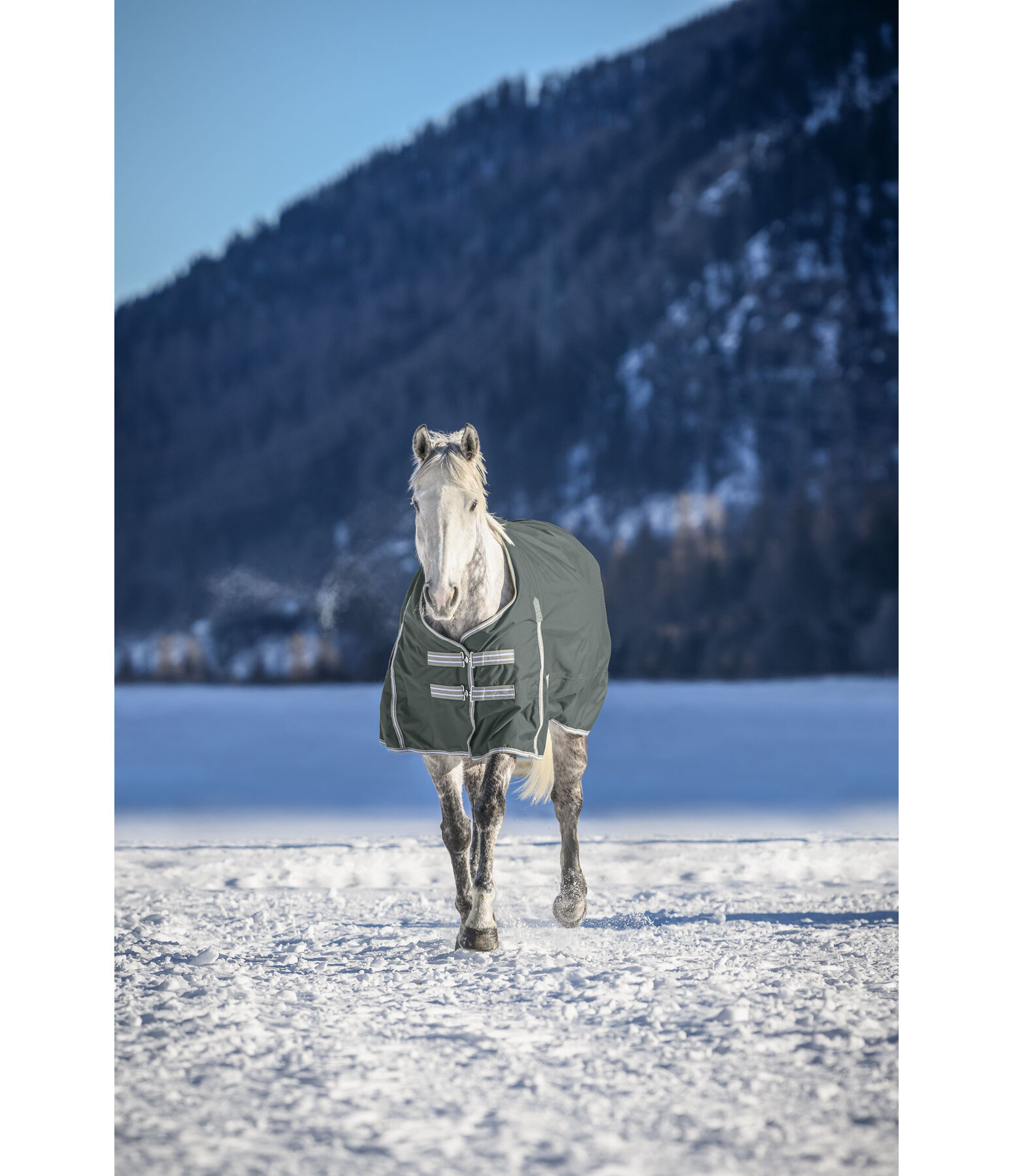 Turnout Rug Kadir IV, 100g