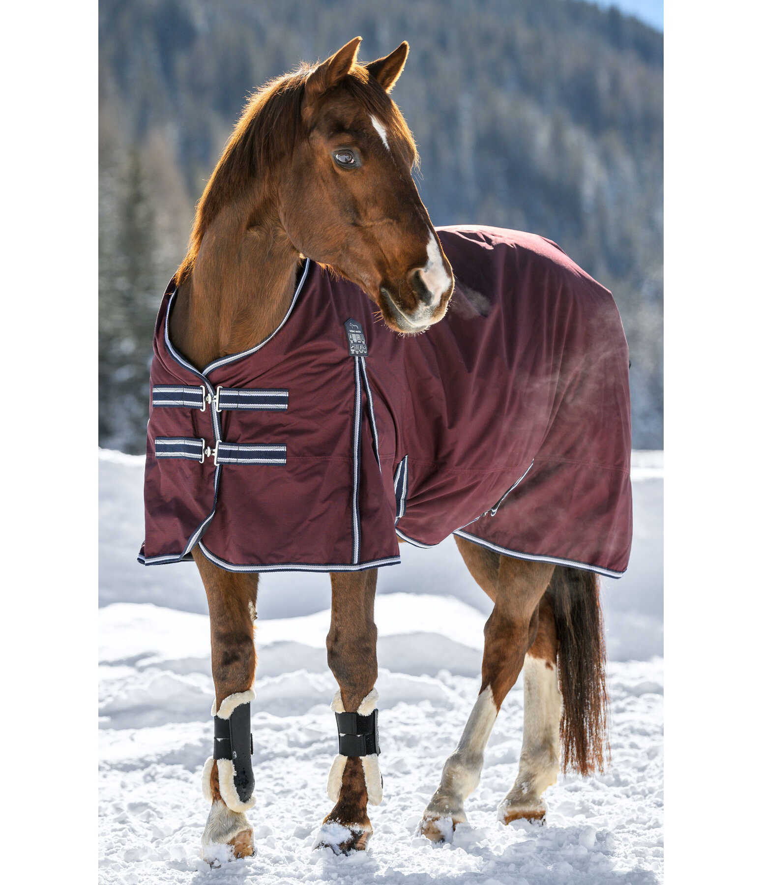 Turnout Rug Kadir IV, 100g