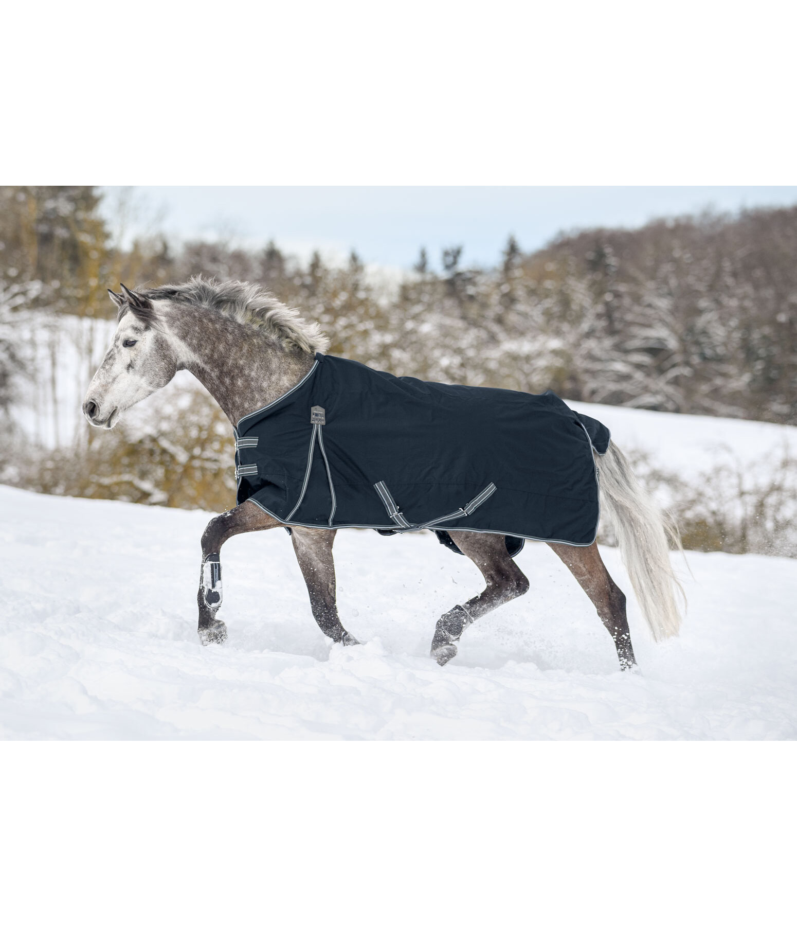 Turnout Rug Kadir IV, 100g