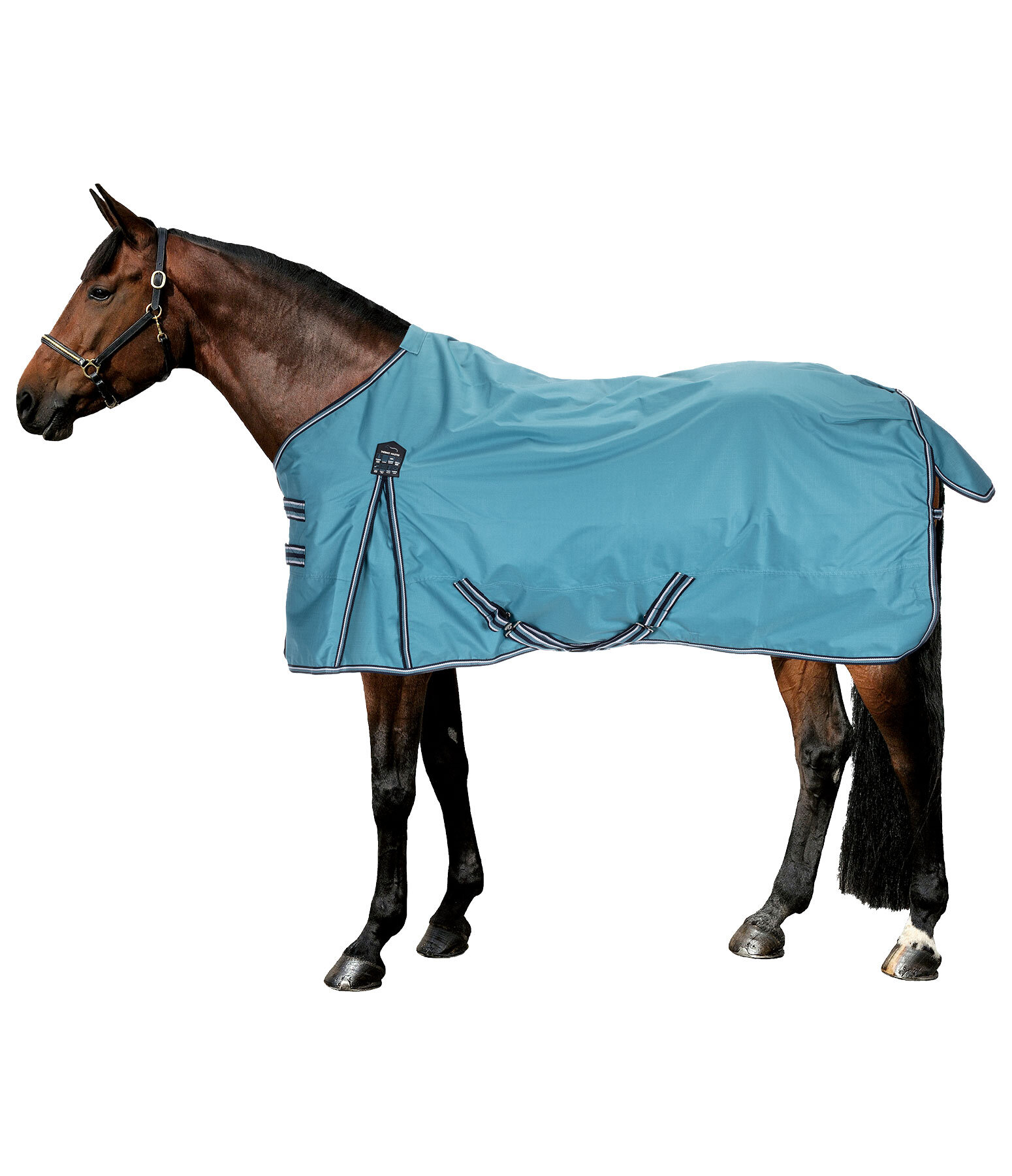 Turnout Rug Kadir IV, 100g