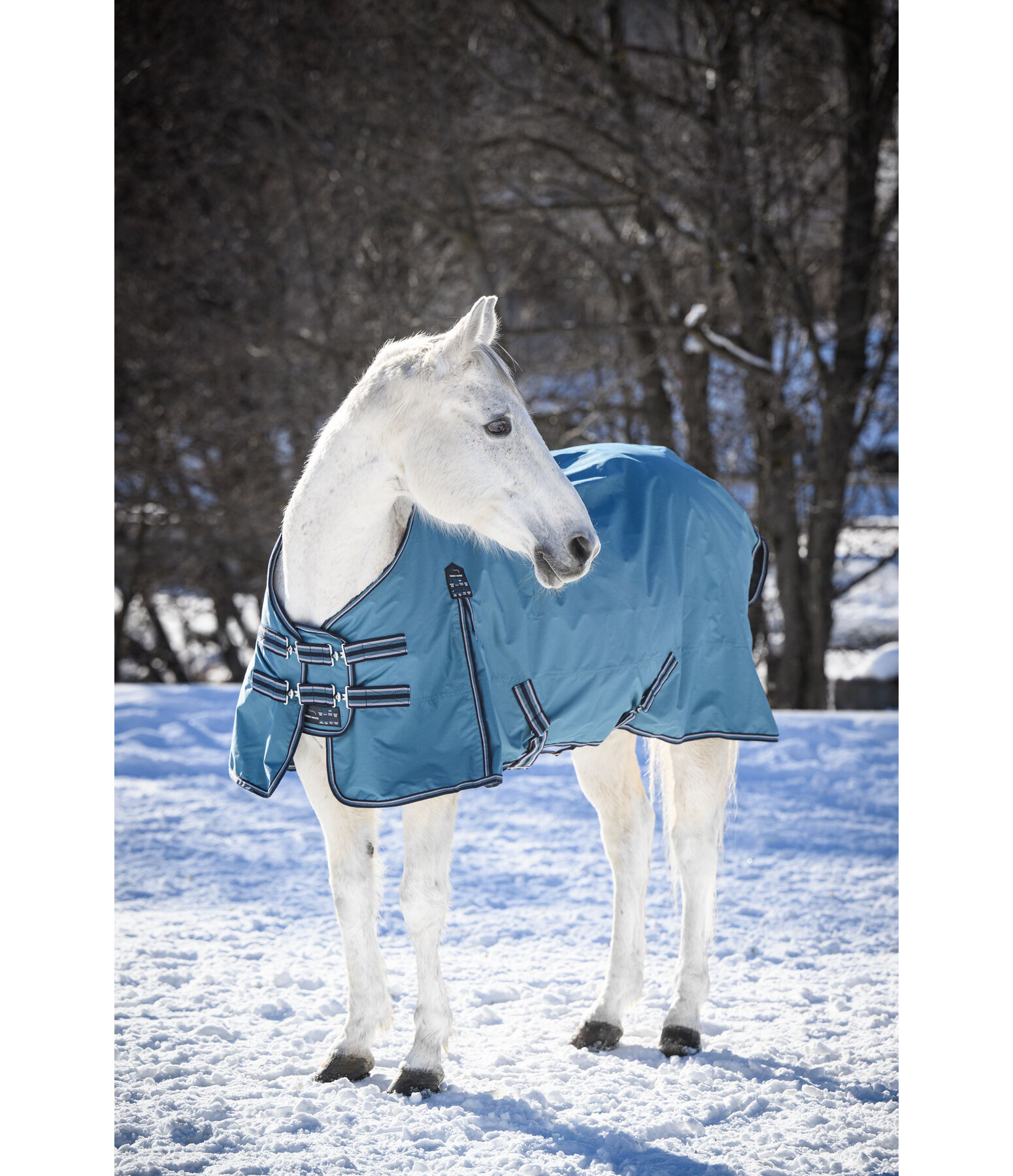 Turnout Rug Kadir IV, 100g