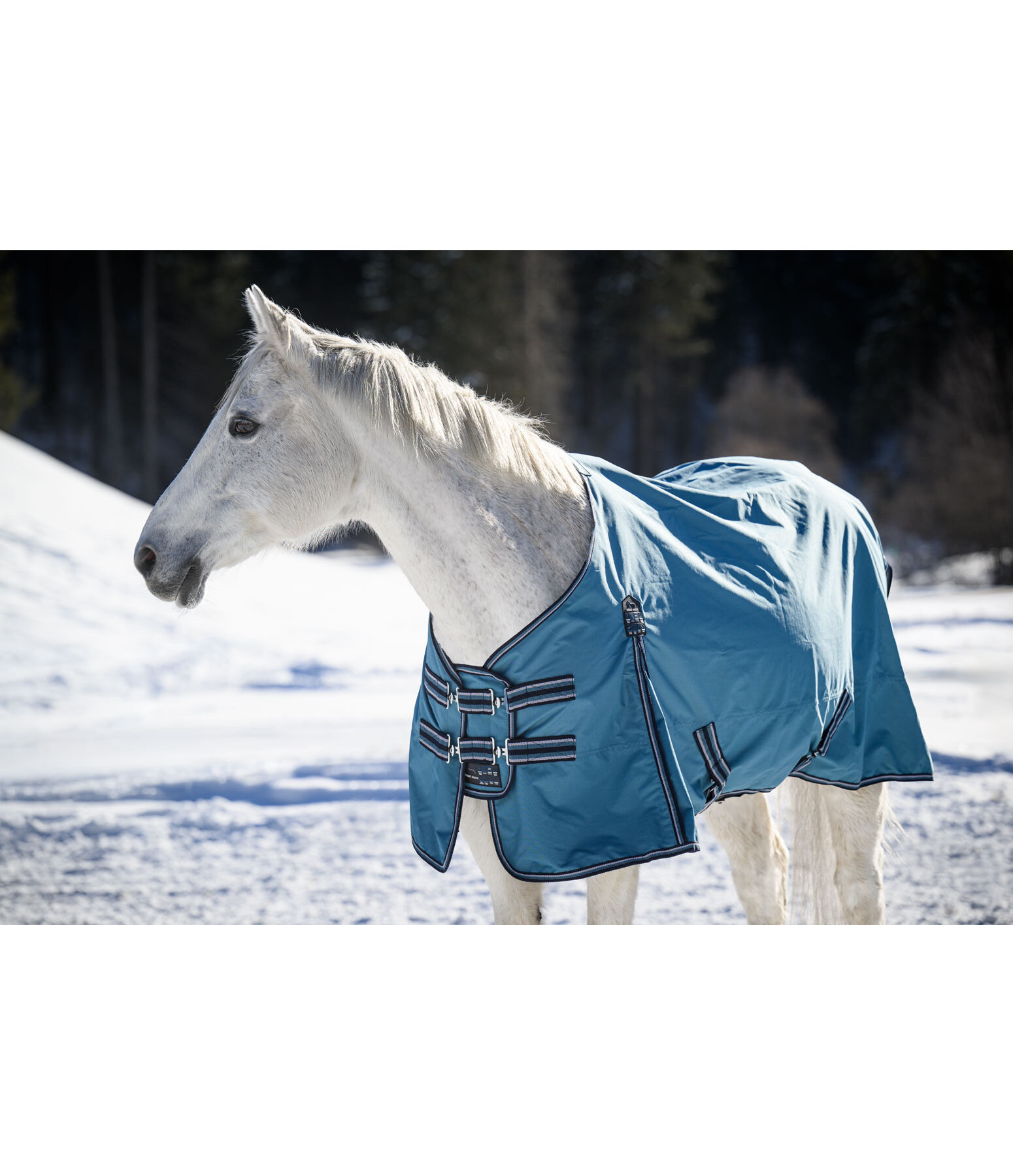 Turnout Rug Kadir IV, 100g