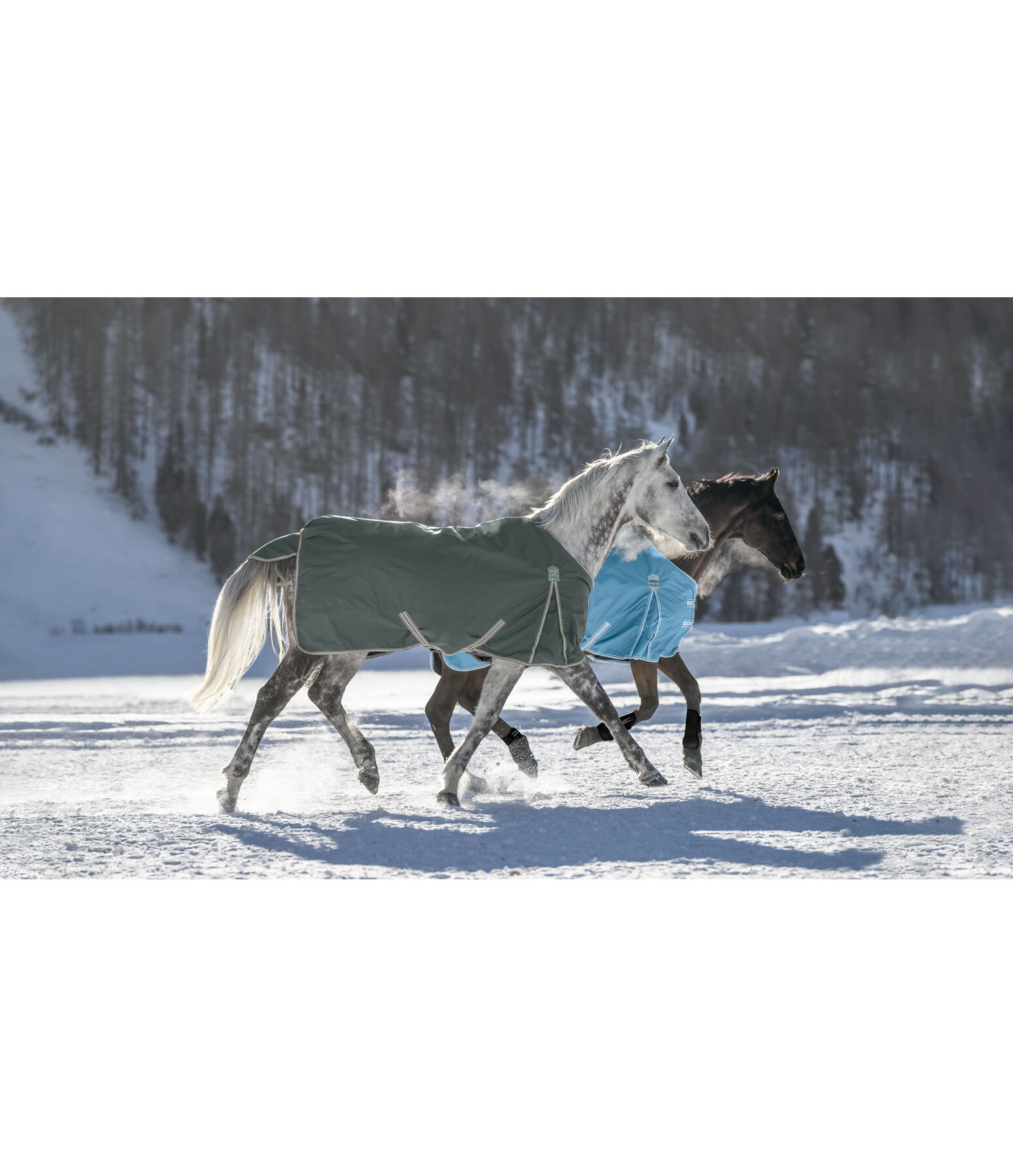 Turnout Rug Kadir IV, 200g