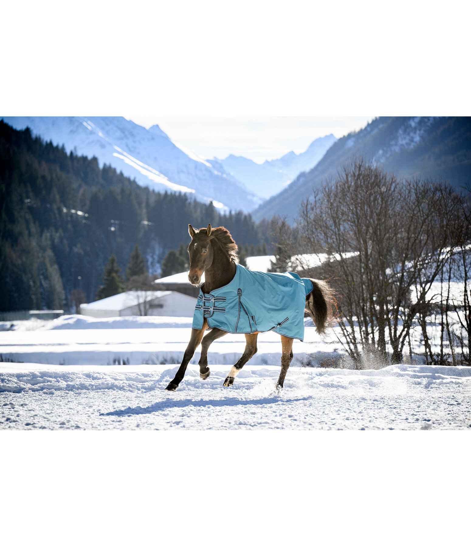 Turnout Rug Kadir IV, 200g