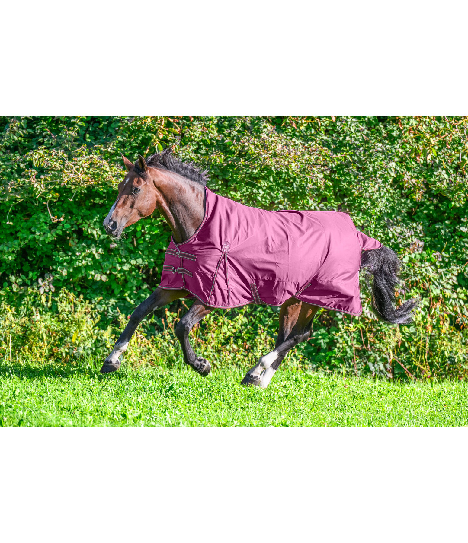 High Neck Turnout Rug Kalina II, 0g