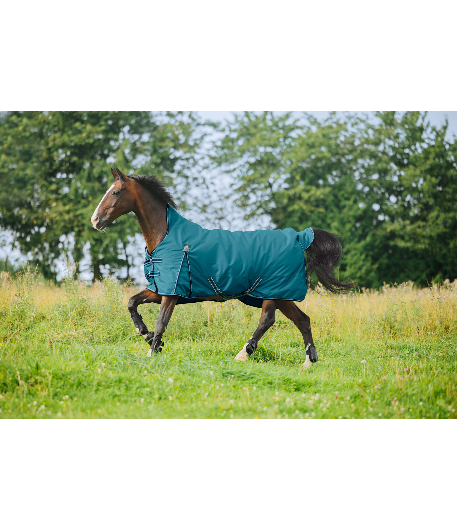 High Neck Turnout Rug Kalina II, 0g