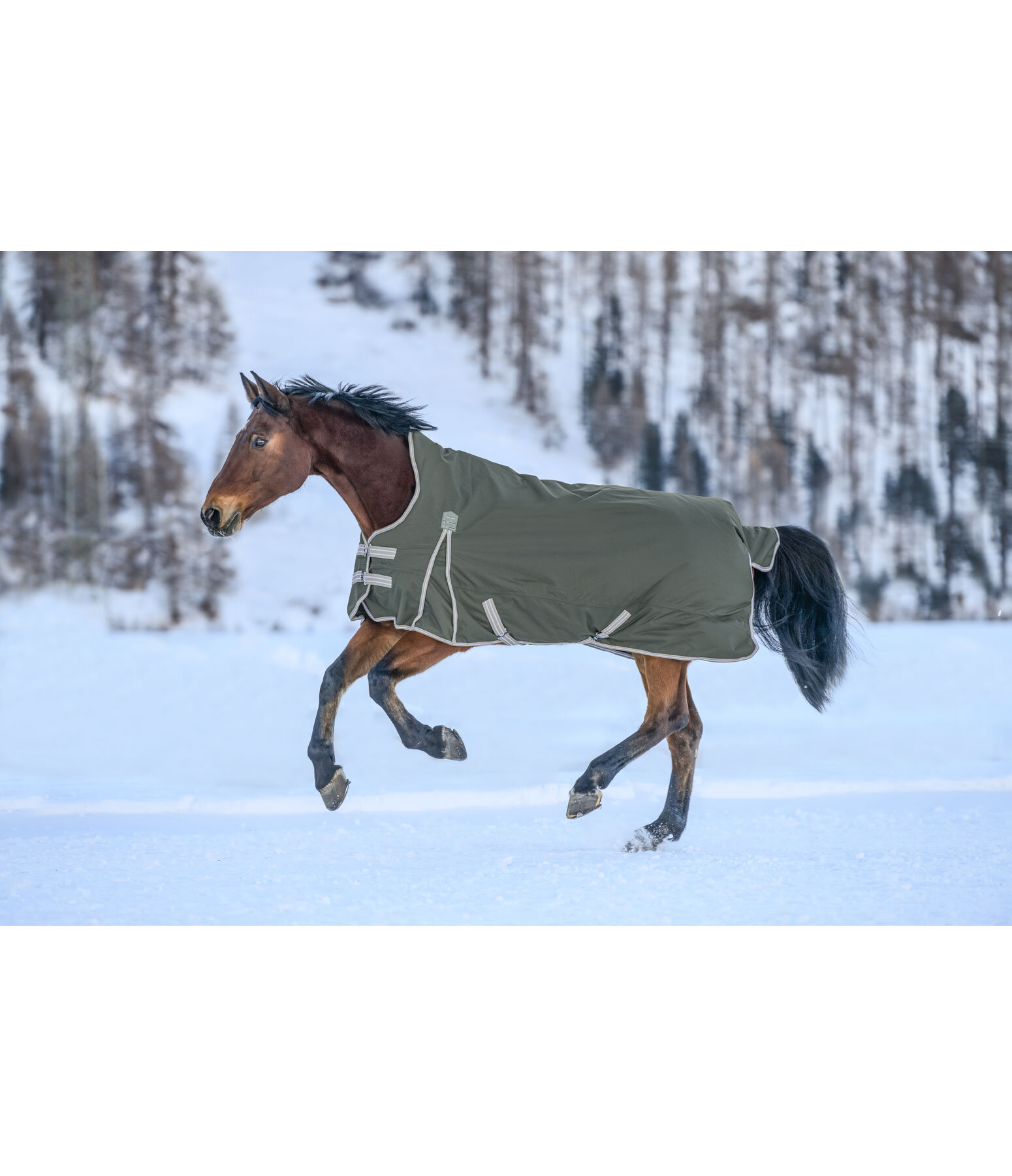 High Neck Turnout Rug Kalina II, 100g