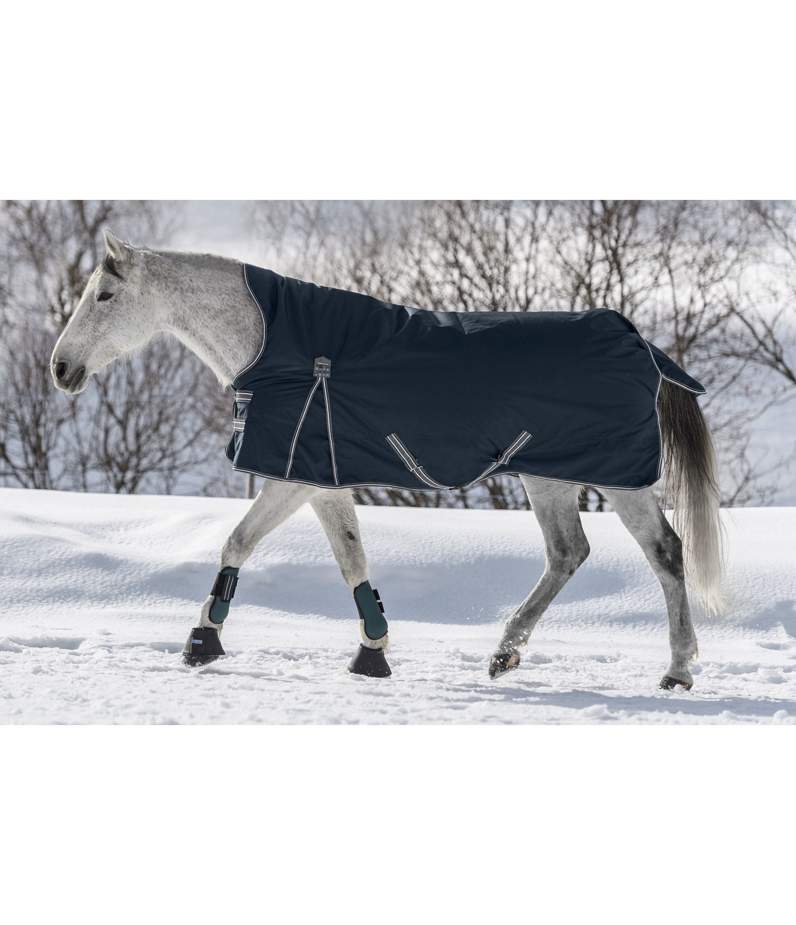 High Neck Turnout Rug Kalina II, 100g