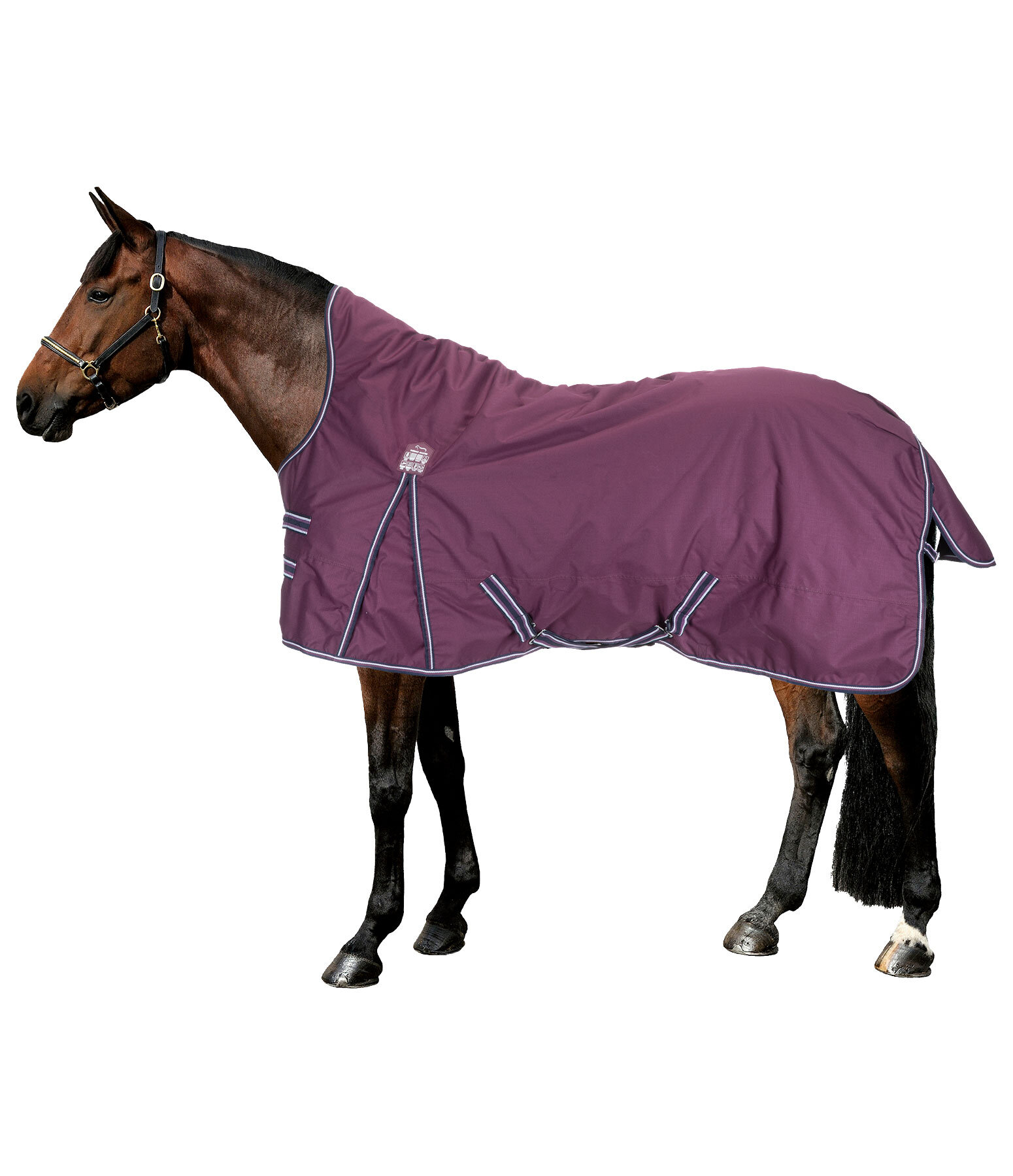 High Neck Turnout Rug Kalina II, 200g
