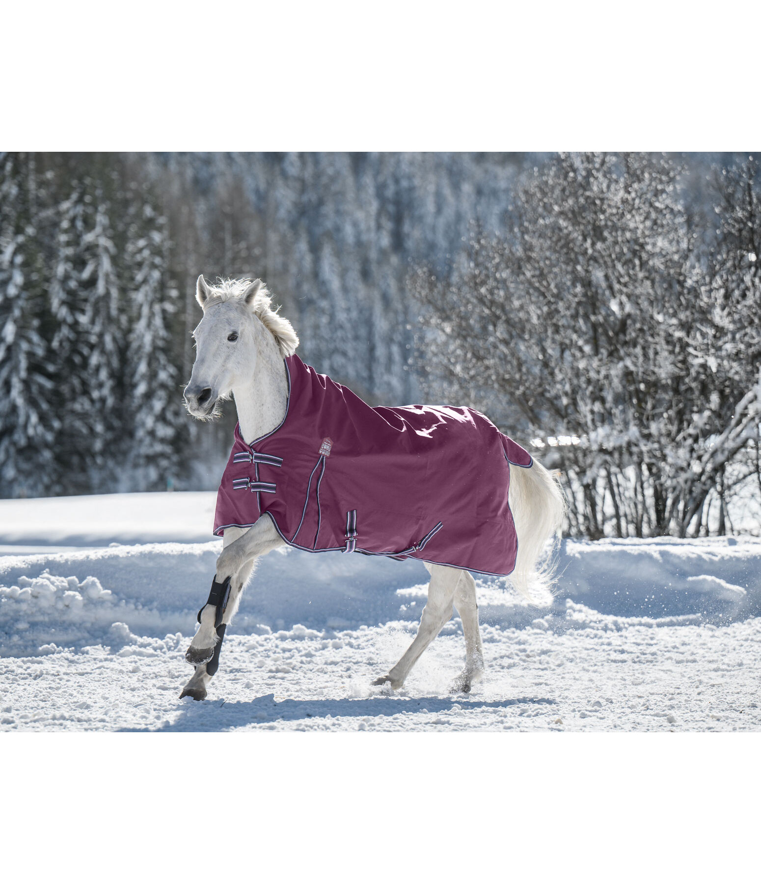 High Neck Turnout Rug Kalina II, 200g