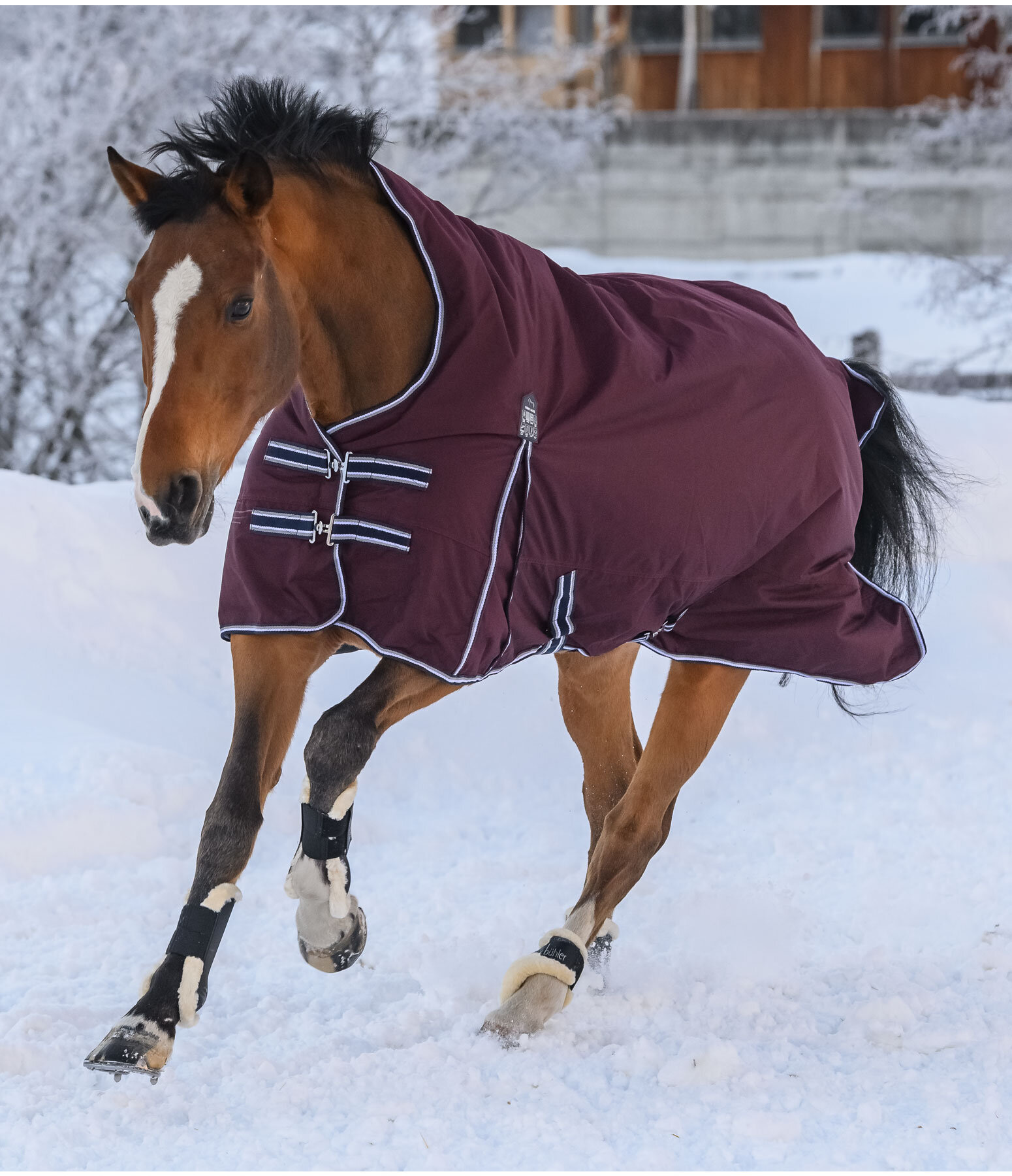 High Neck Turnout Rug Kalina II, 200g Kramer Equestrian
