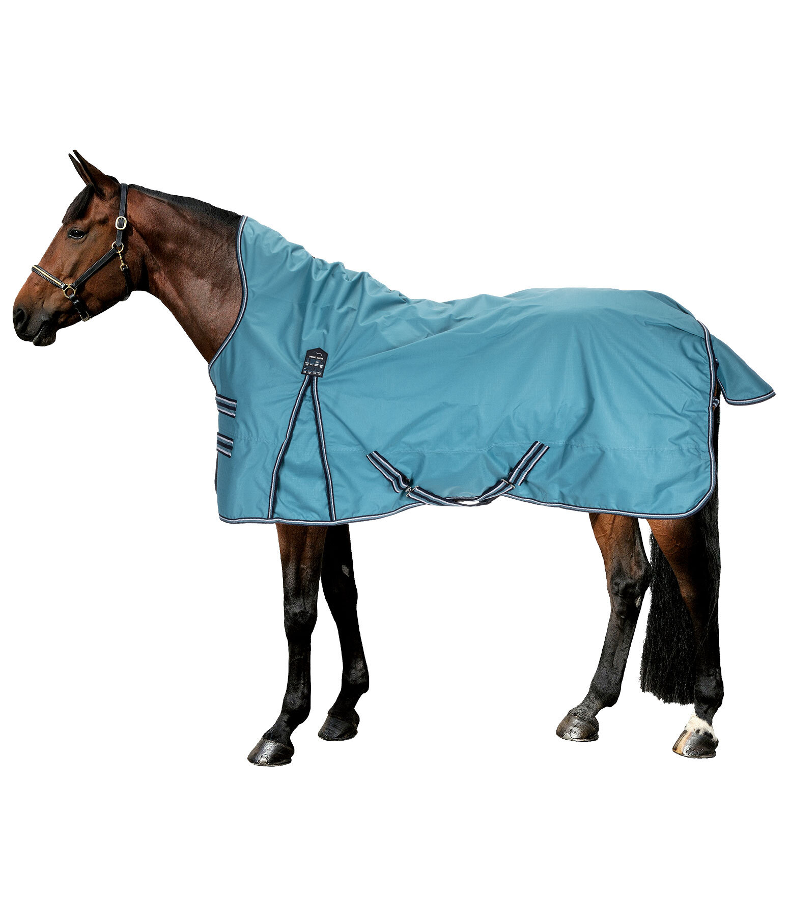 High Neck Turnout Rug Kalina II, 200g