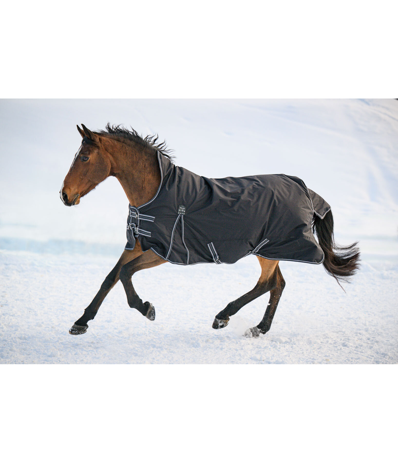 High Neck Turnout Rug Kalina II, 200g