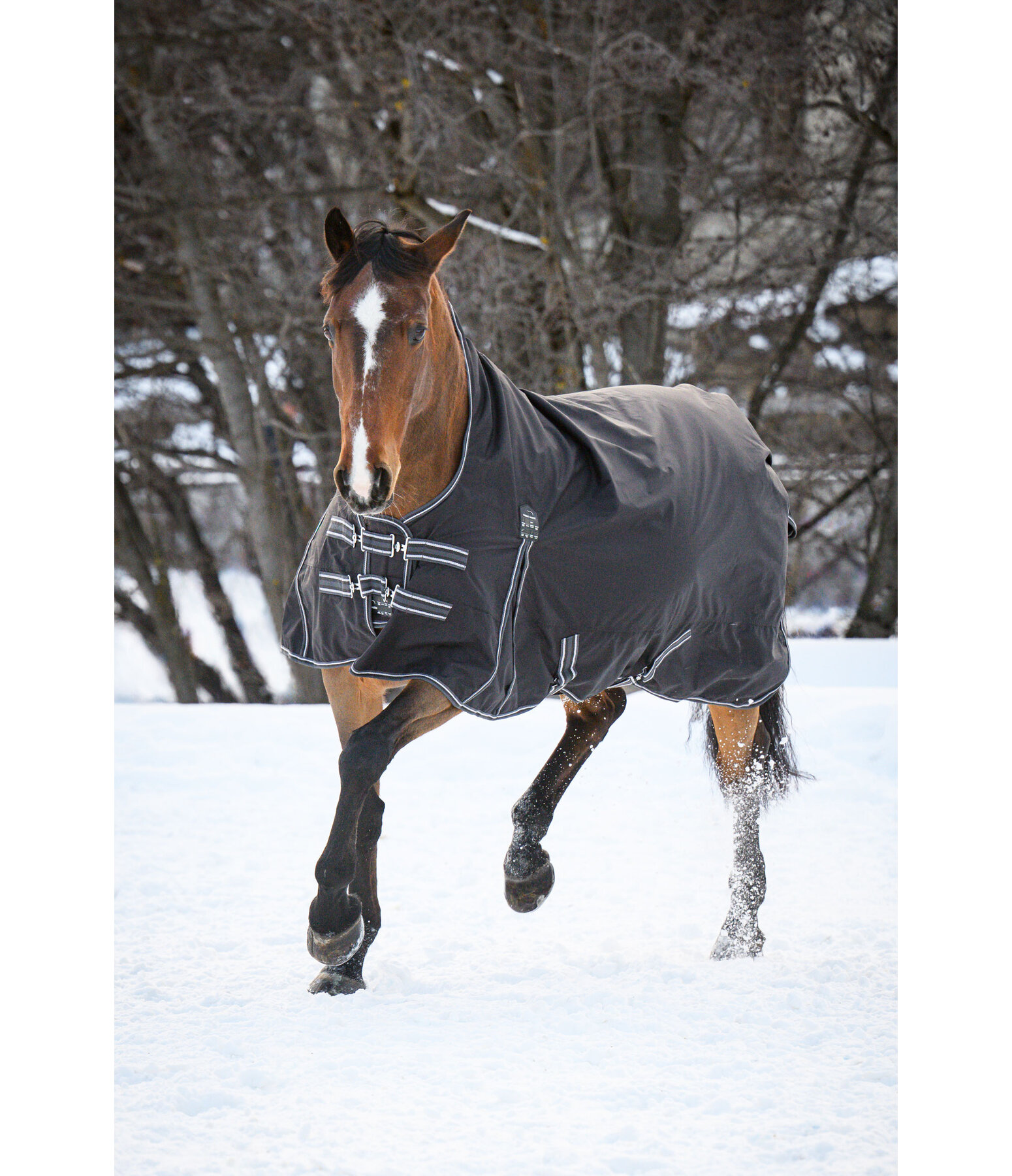 High Neck Turnout Rug Kalina II, 200g