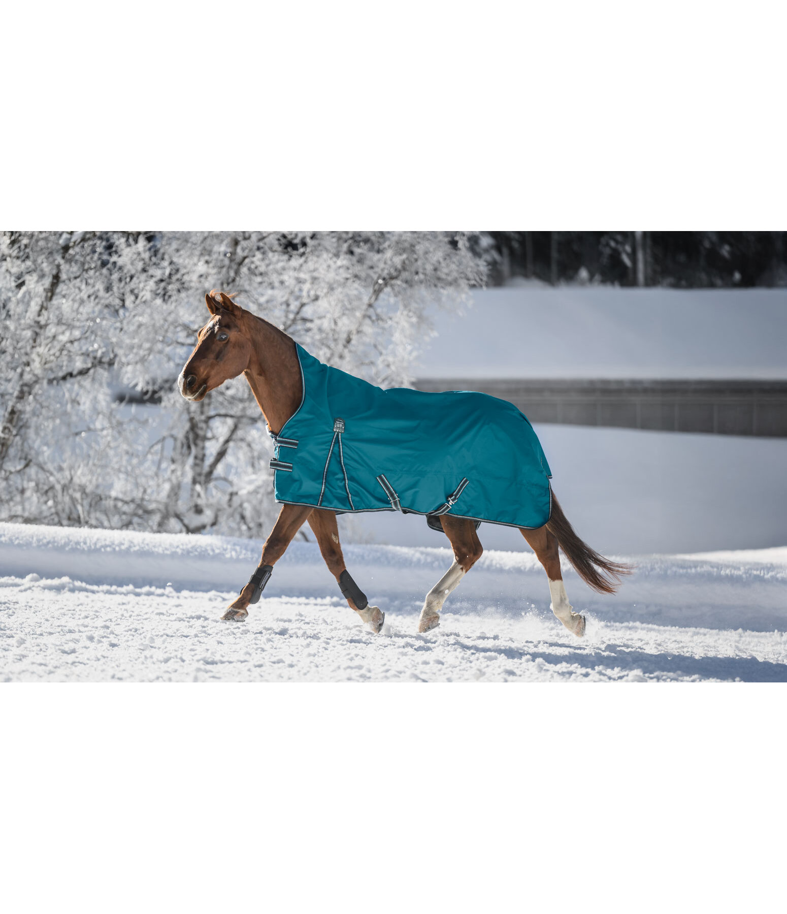 High Neck Turnout Rug Kalina II, 200g