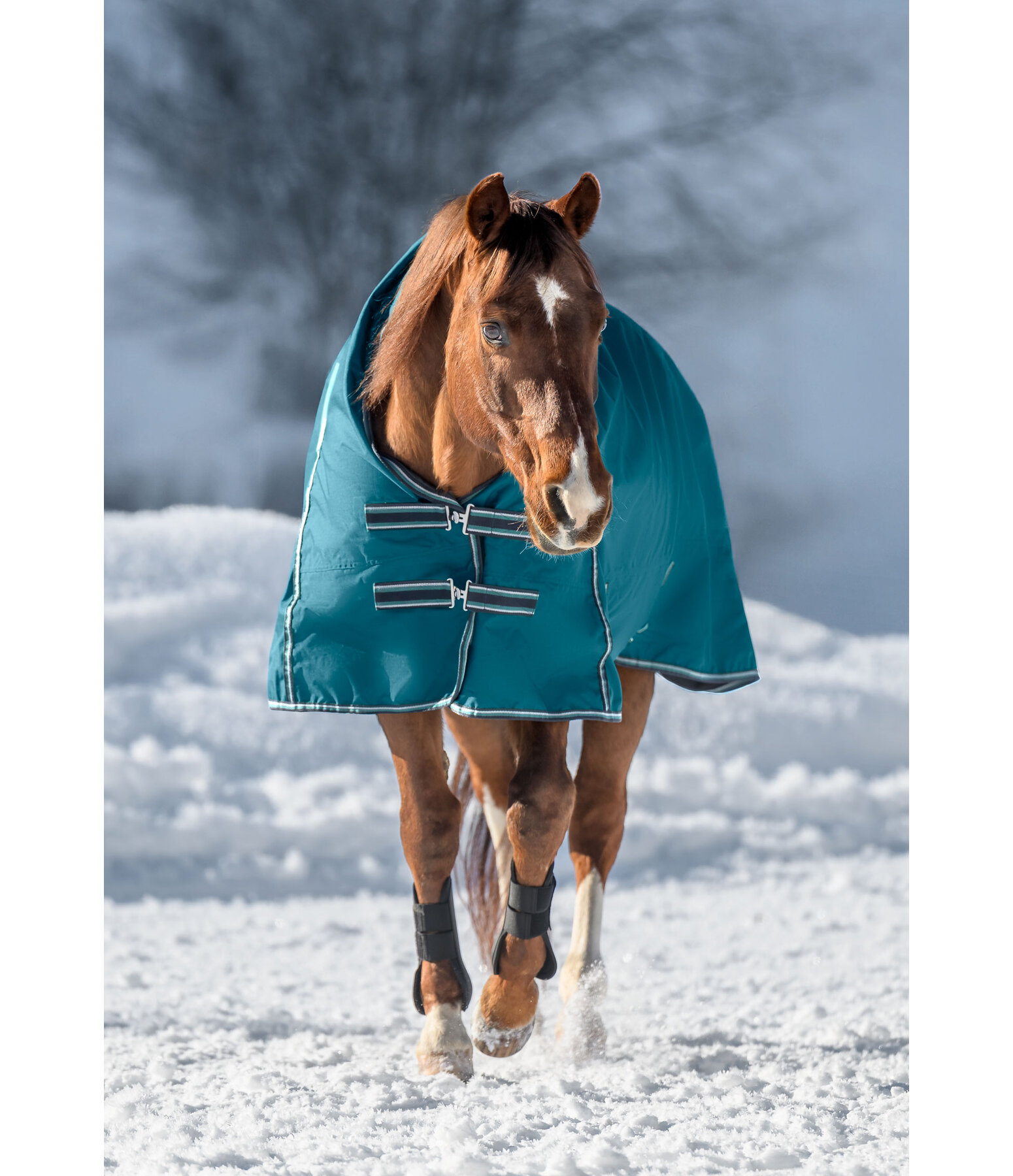High Neck Turnout Rug Kalina II, 200g