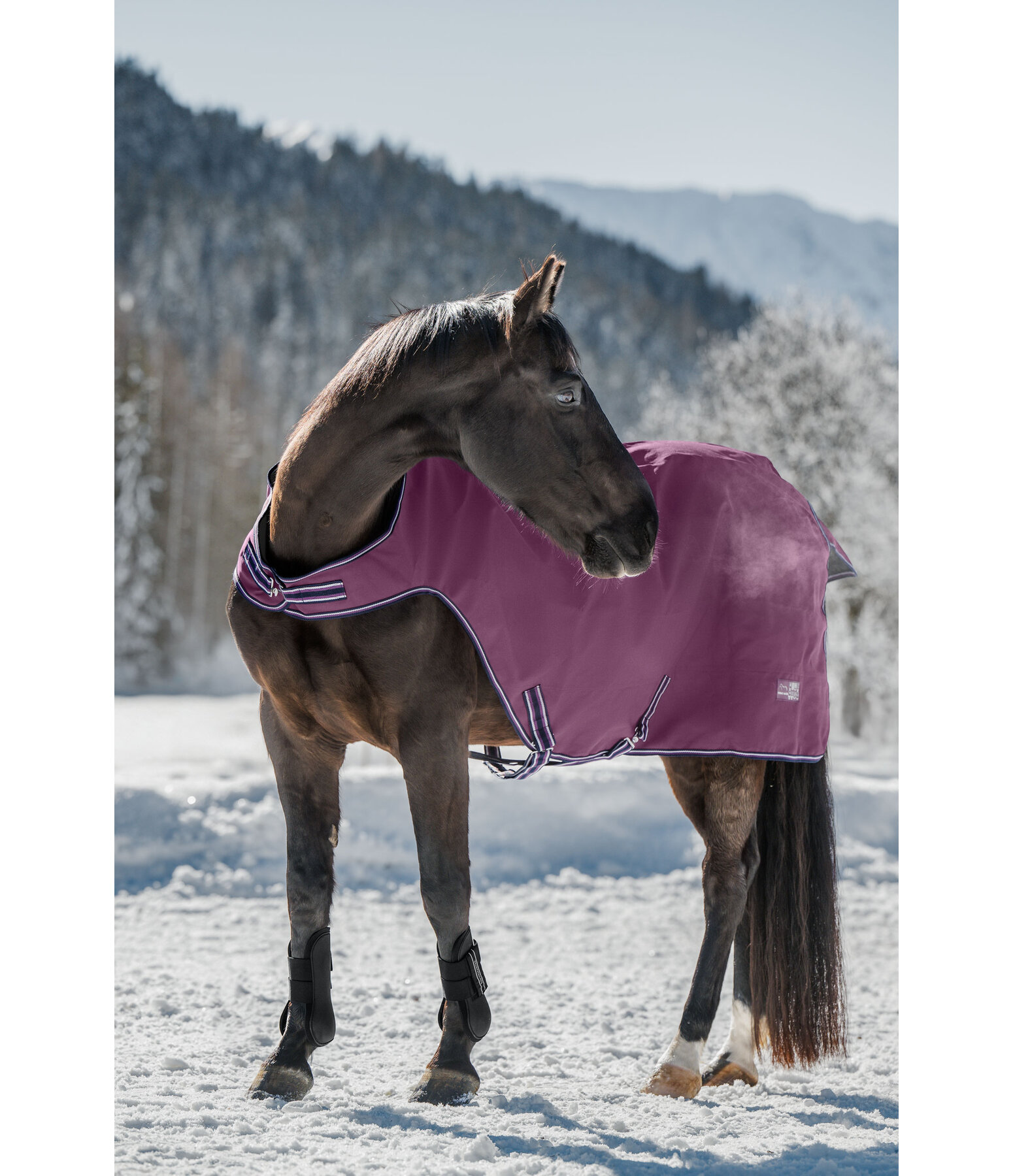Outdoor Walker Rug Kasimo II, 0g