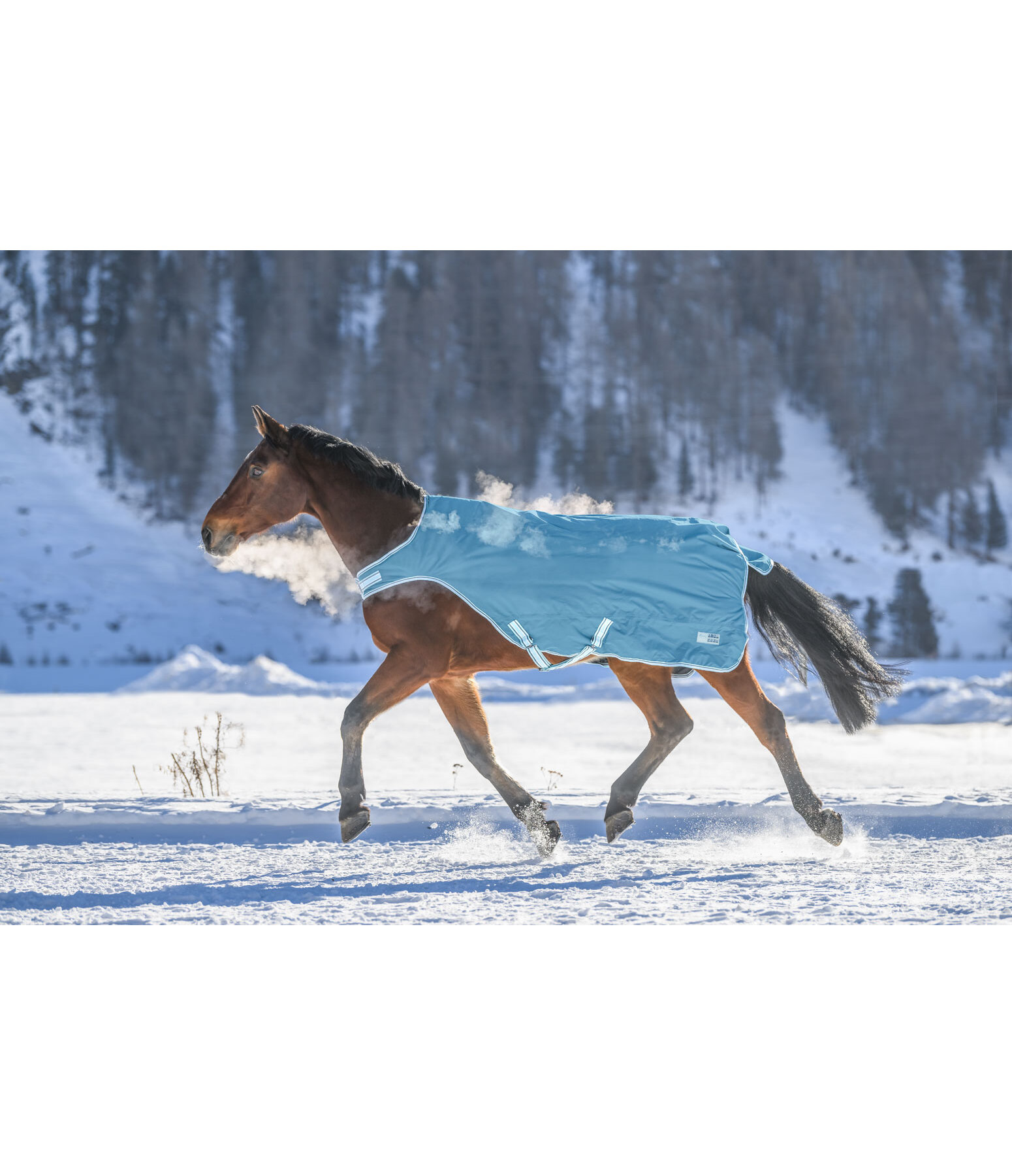 Turnout Walker Rug Kasimo II, 0g