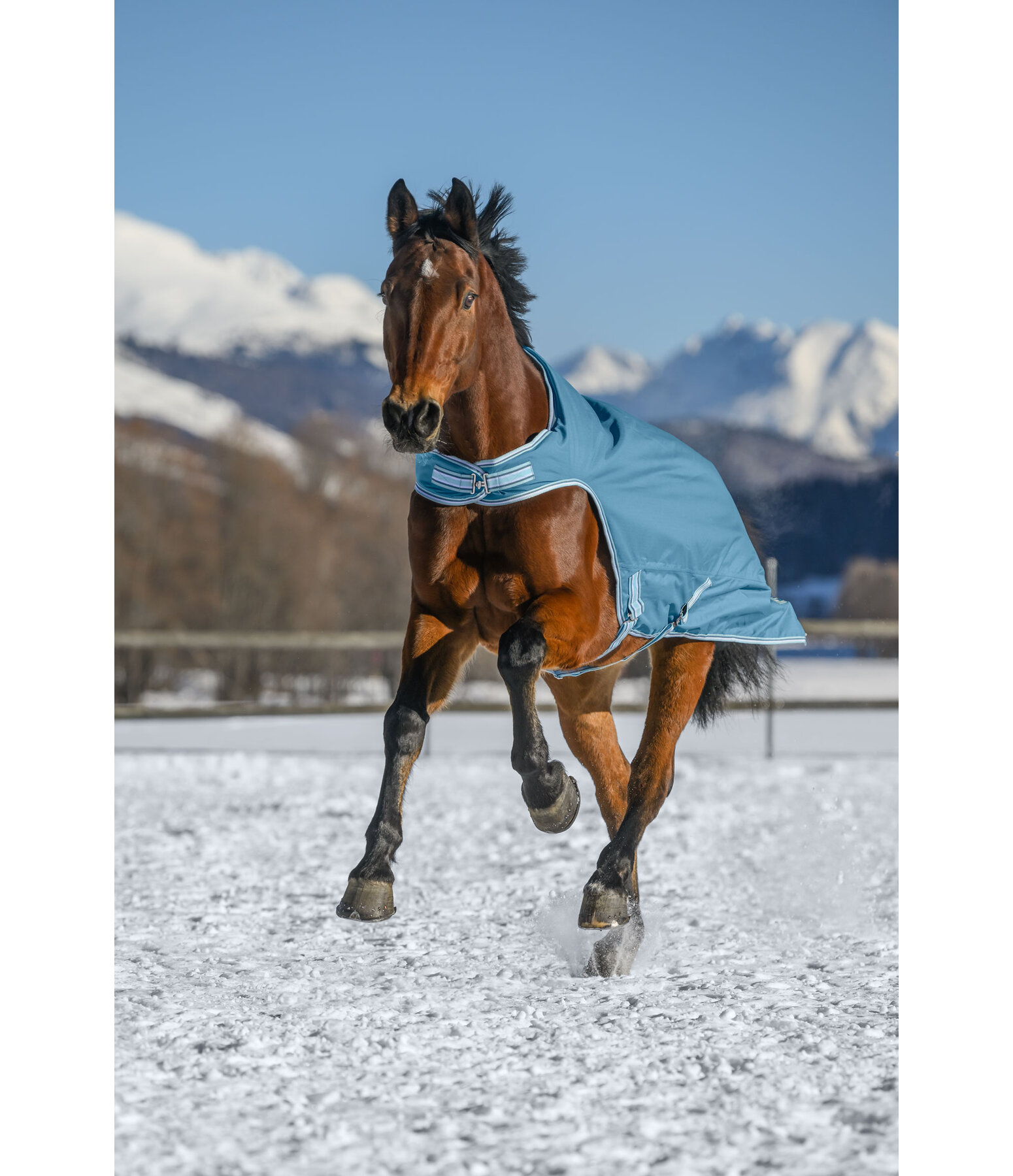 Turnout Walker Rug Kasimo II, 0g